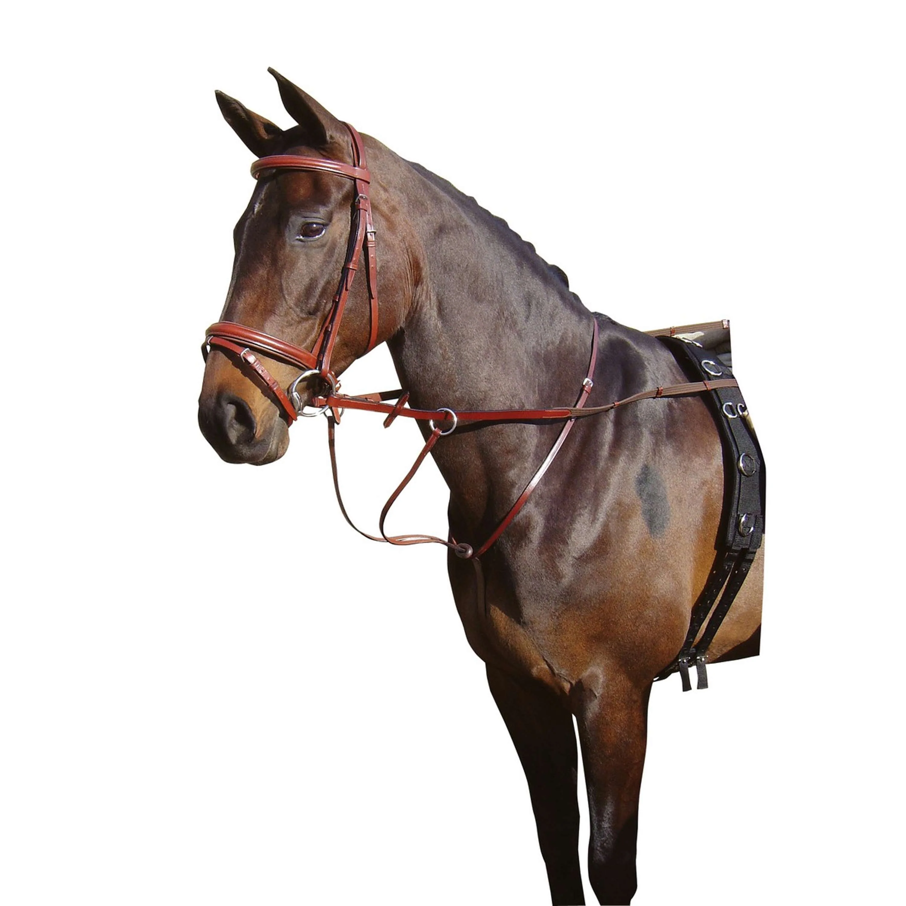 Harry's Horse Martingal Braun - Image 2