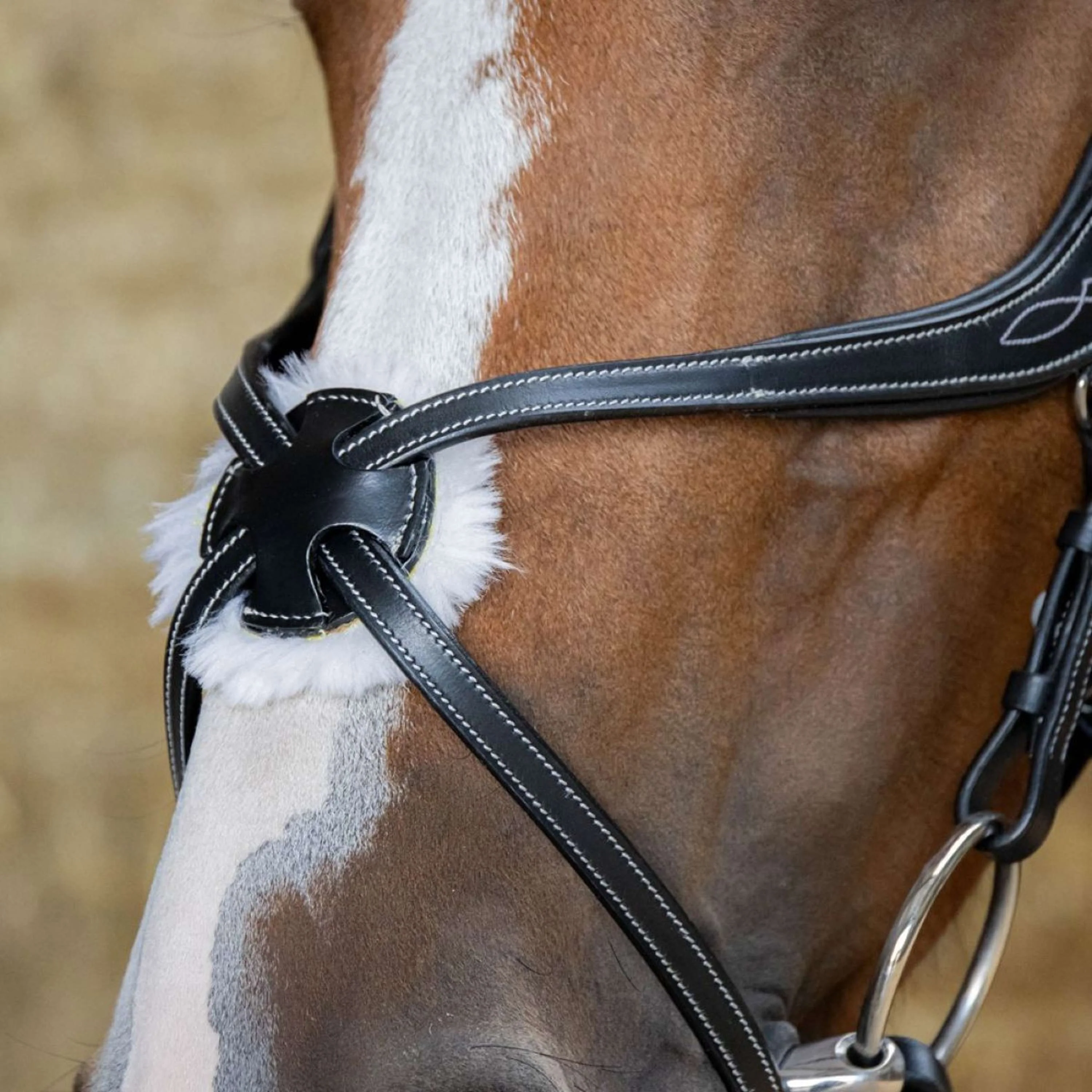 Harry's Horse Mexikanische Trense Anatomic Schwarz - Image 3