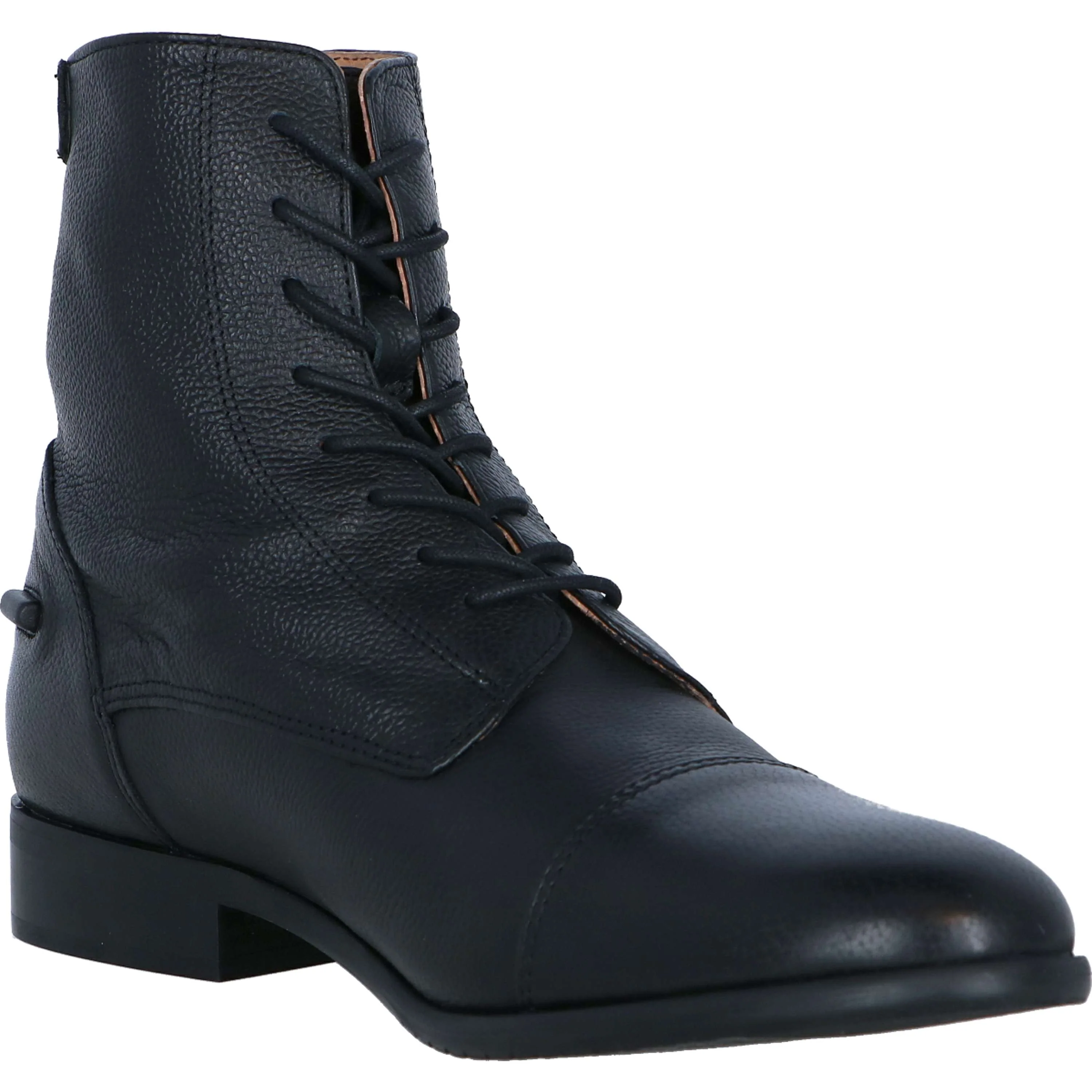 Harry's Horse Stiefelette Bellisa Schwarz - Image 7
