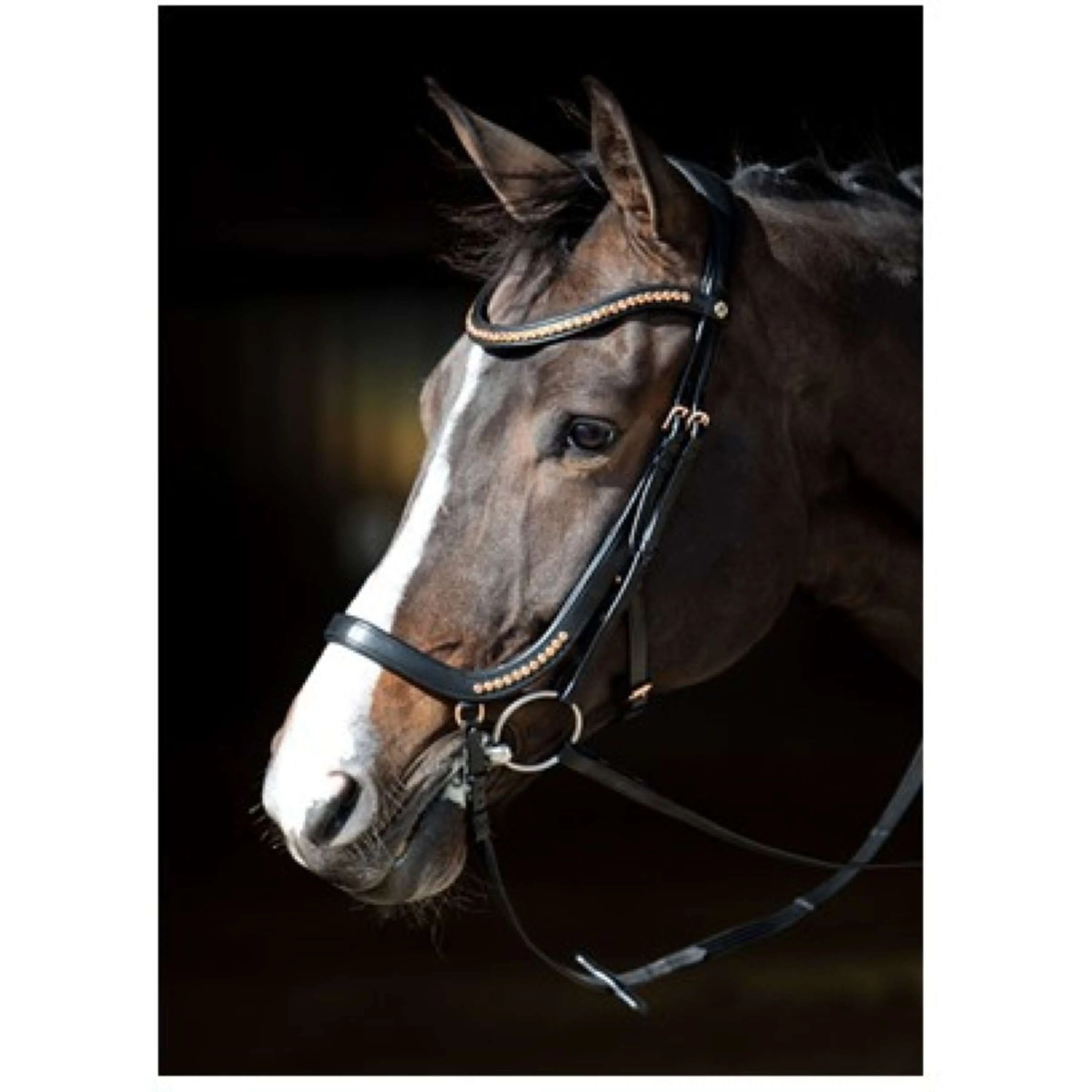 Harry's Horse Trense Anatomisch Schwarz - Image 4