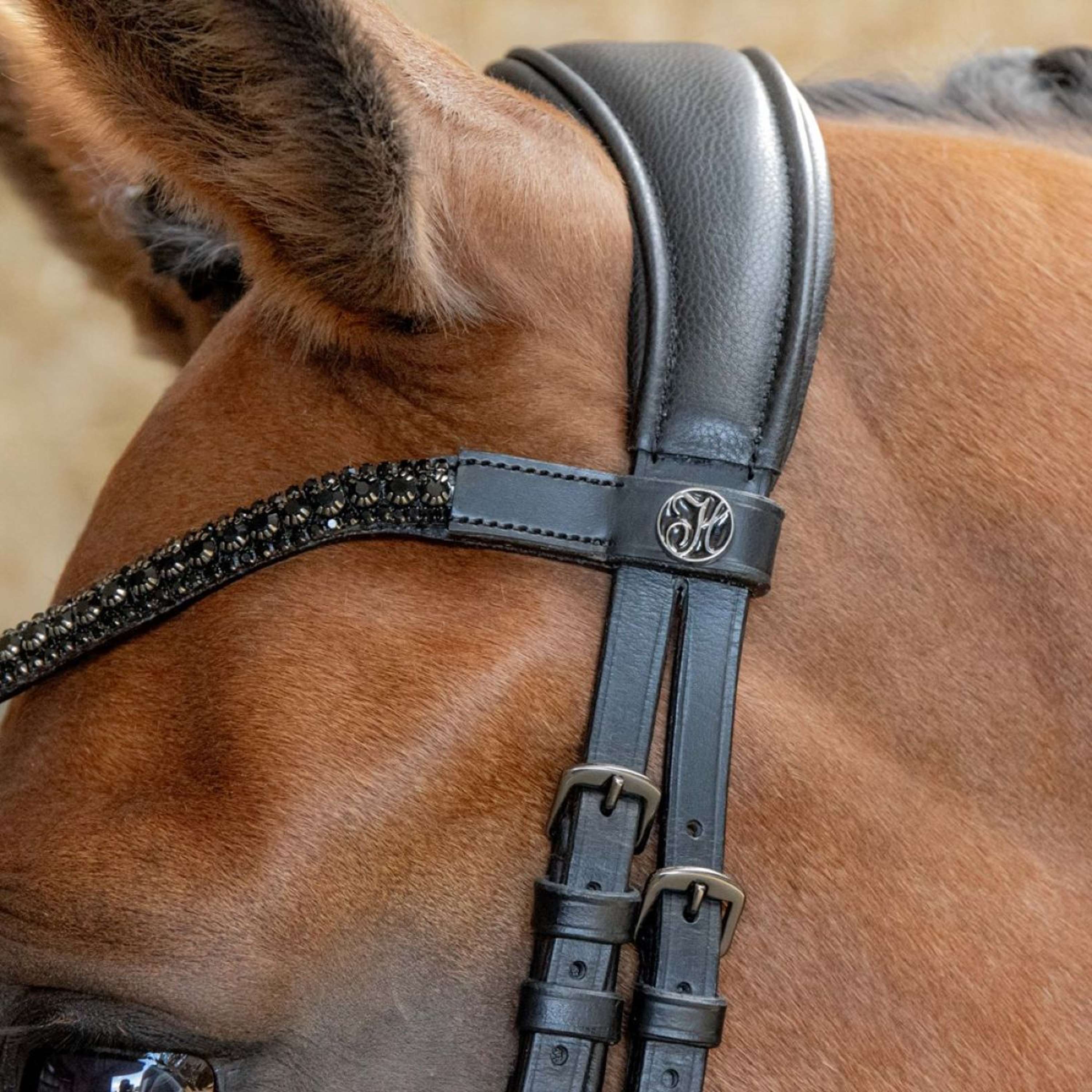 Harry's Horse Zaum Anatomic Black Crystal Schwarz - Image 6