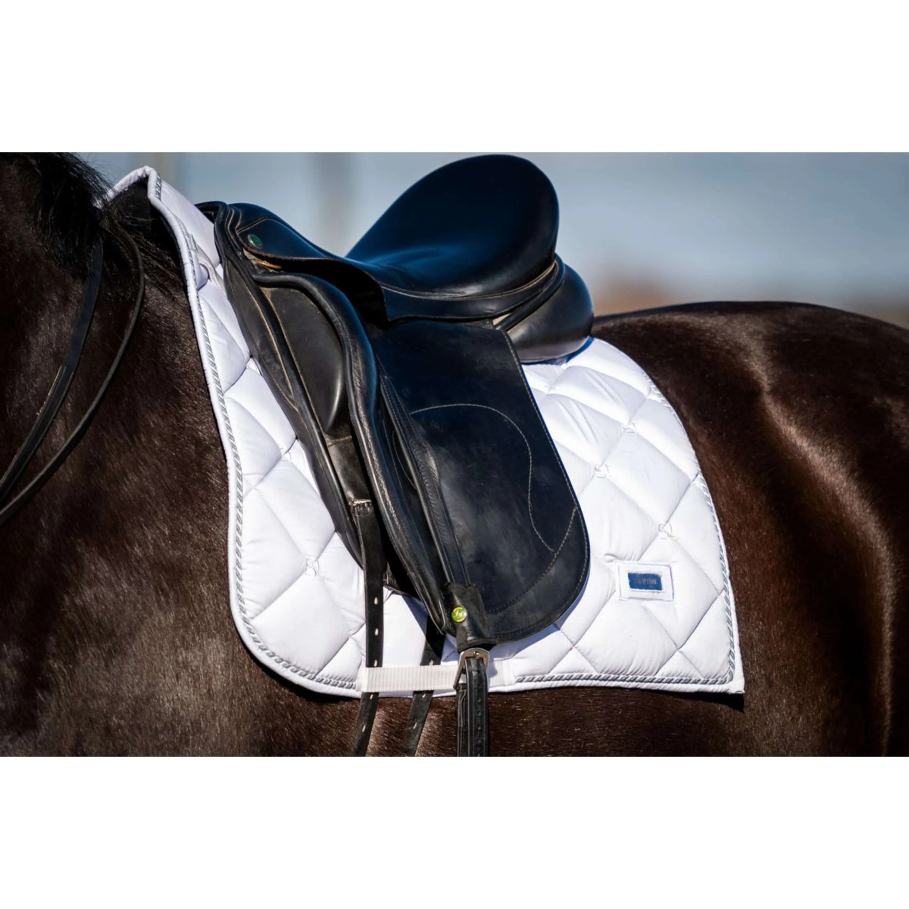 HB Showtime Schabracke Crown Dressur Weiß - Image 10