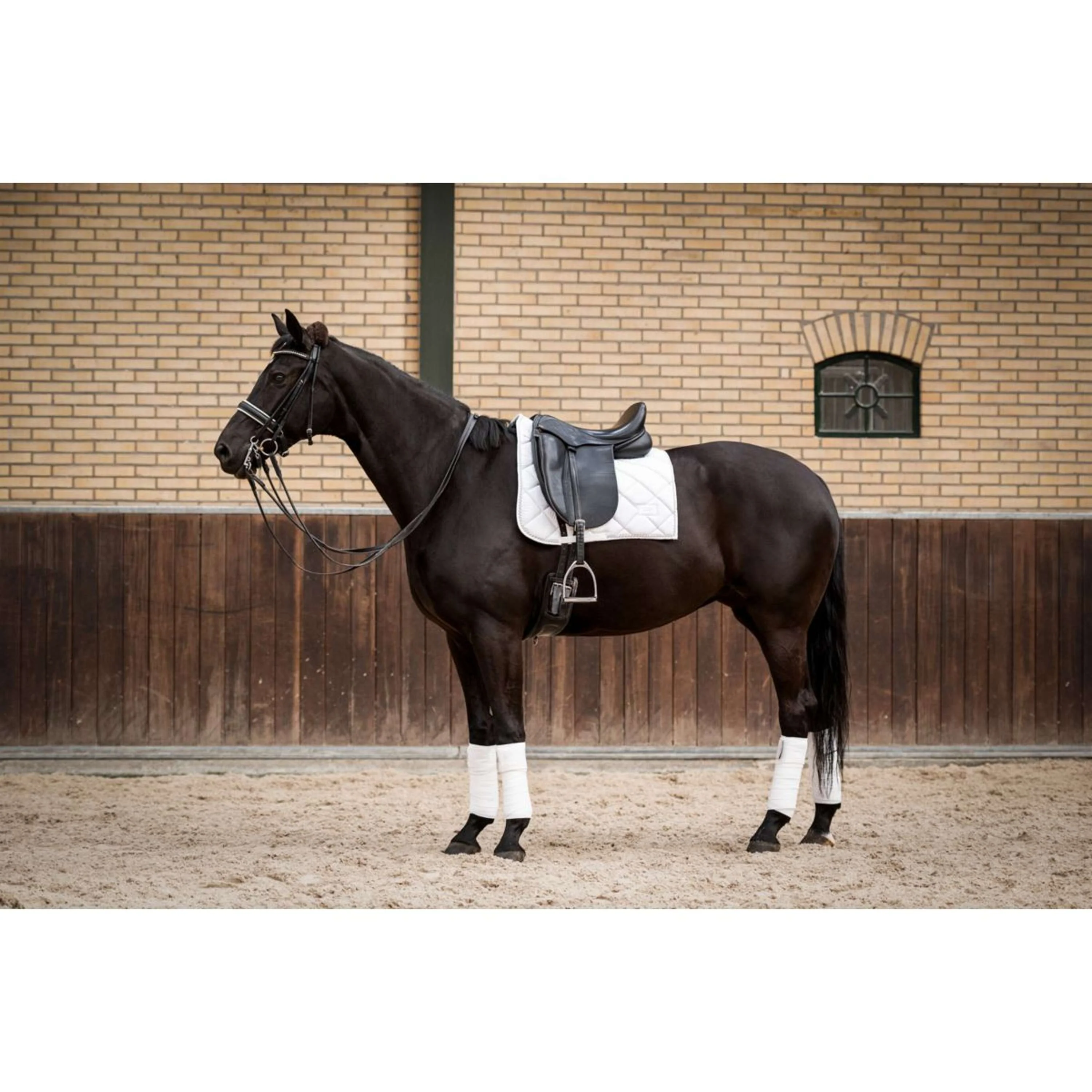 HB Showtime Schabracke Crown Dressur Weiß - Image 7