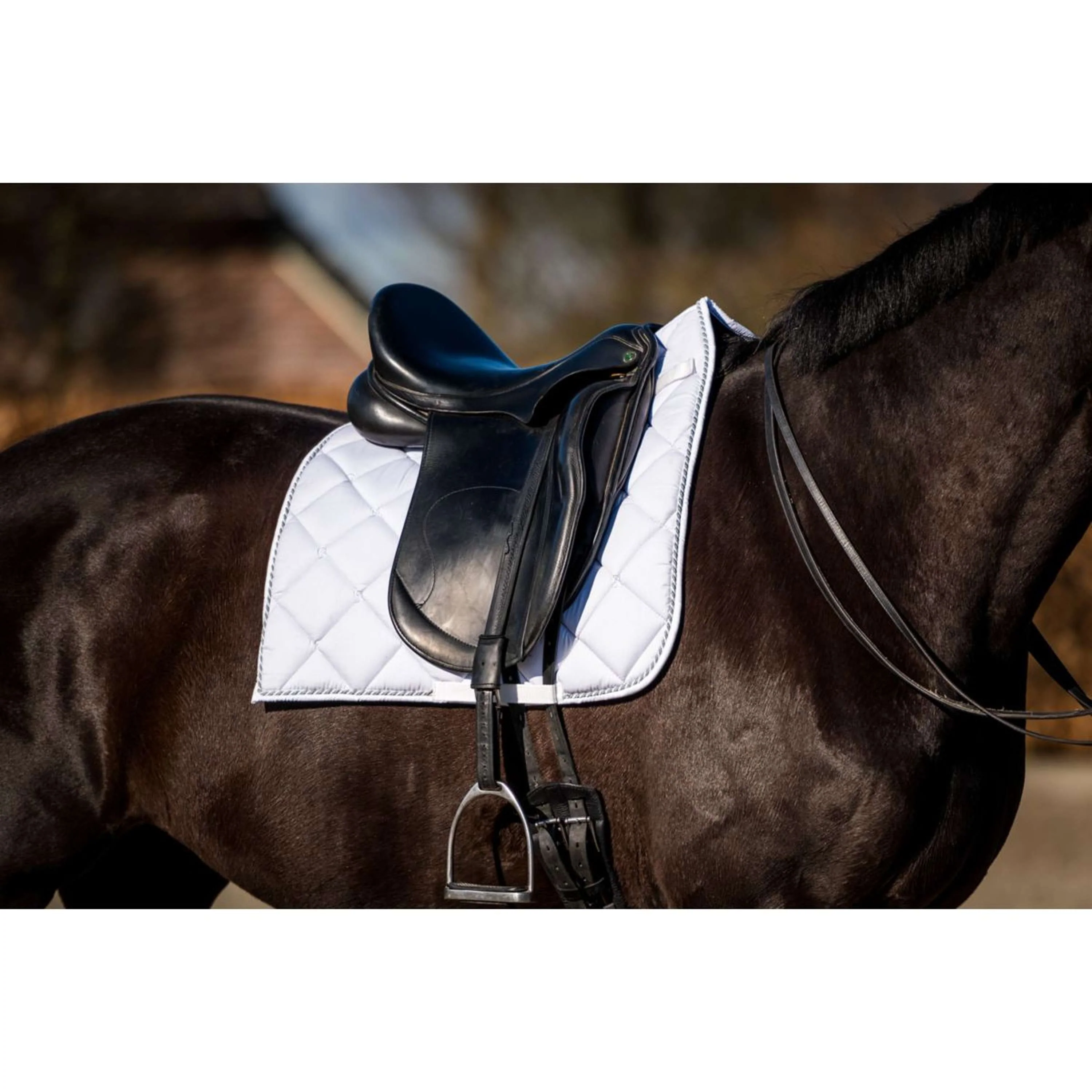 HB Showtime Schabracke Crown Dressur Weiß - Image 9