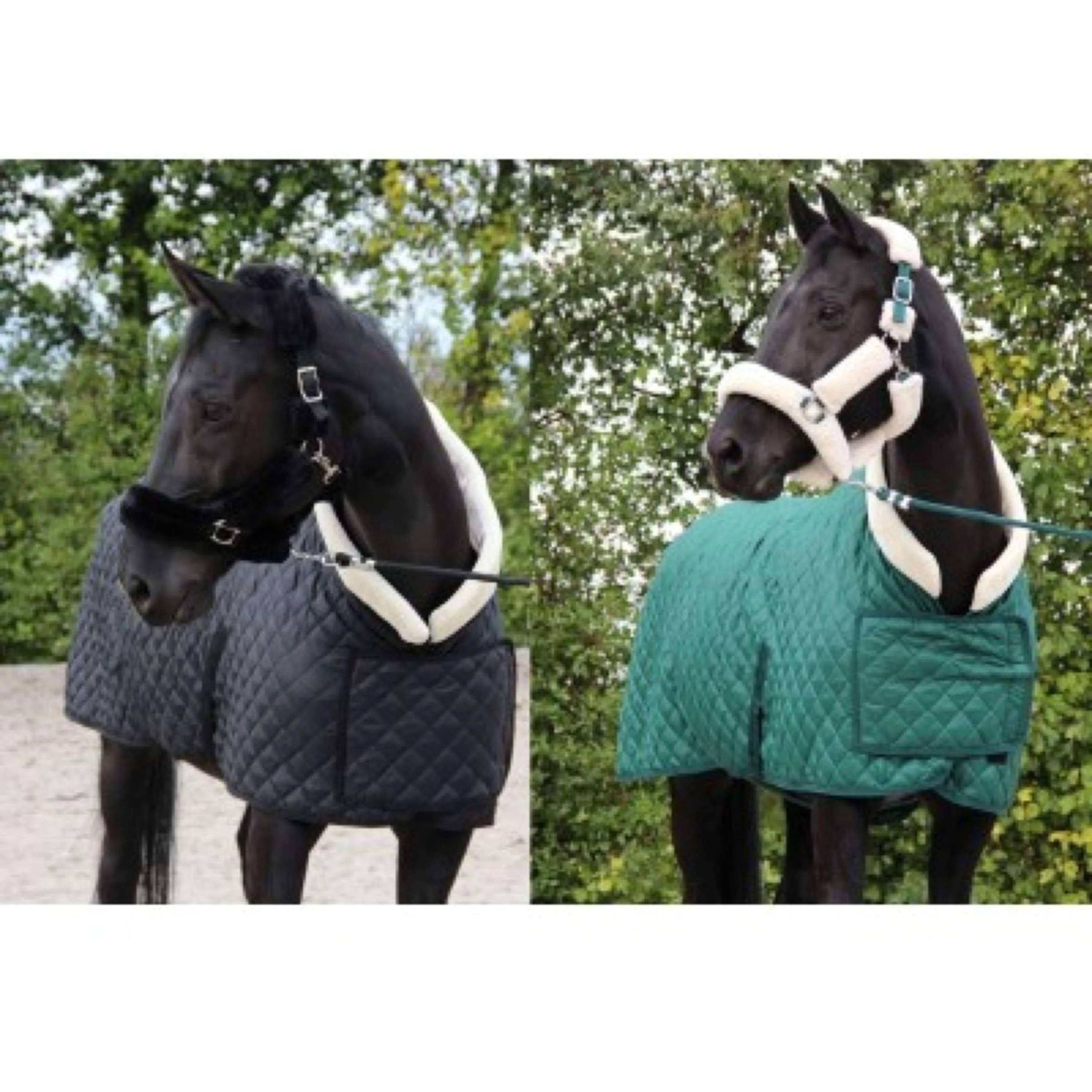 HB Showtime Showdecke Desire160gr Schwarz - Image 9