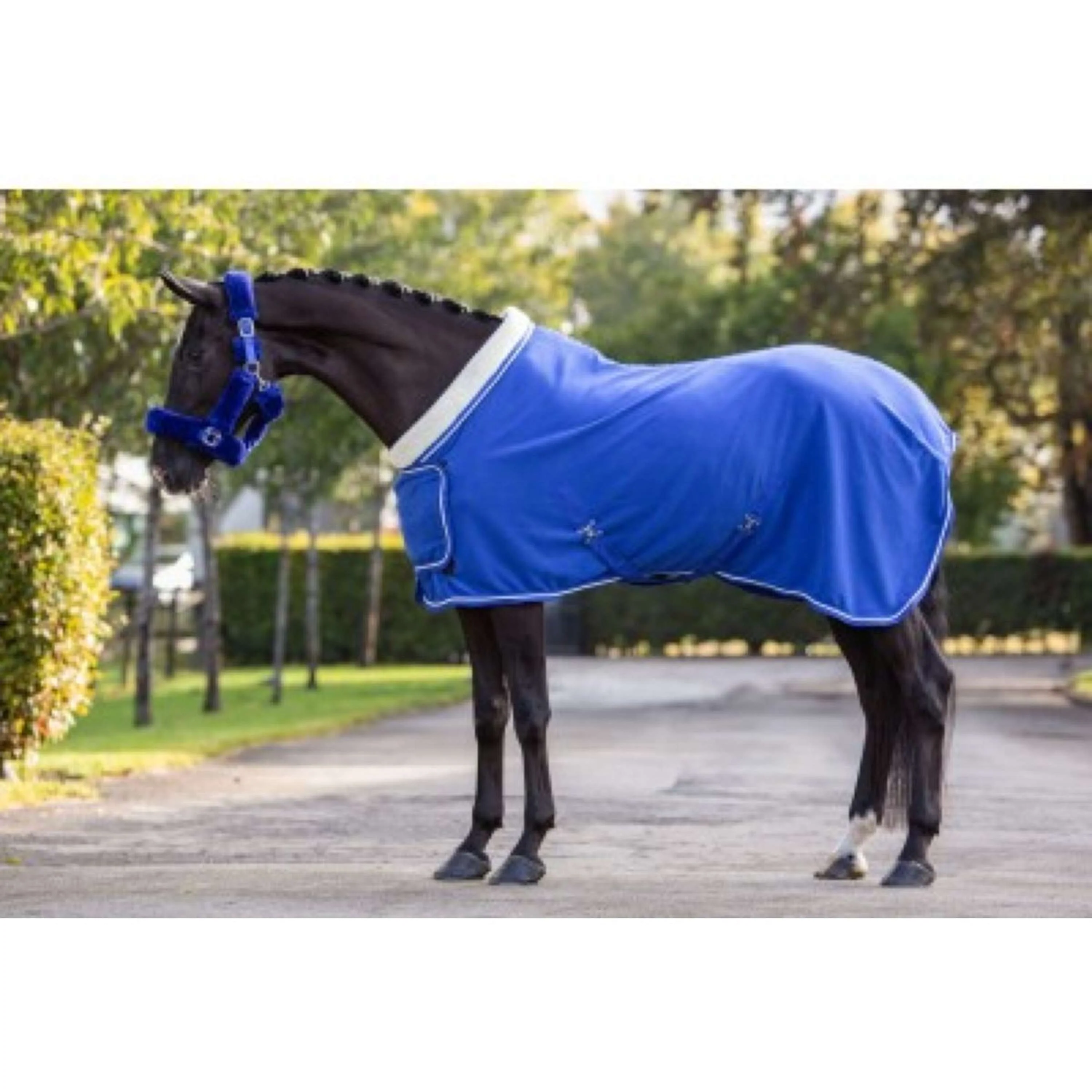 HB Showtime Showdecke Fleece 400gr Dutch Crown Royal Blue - Image 9