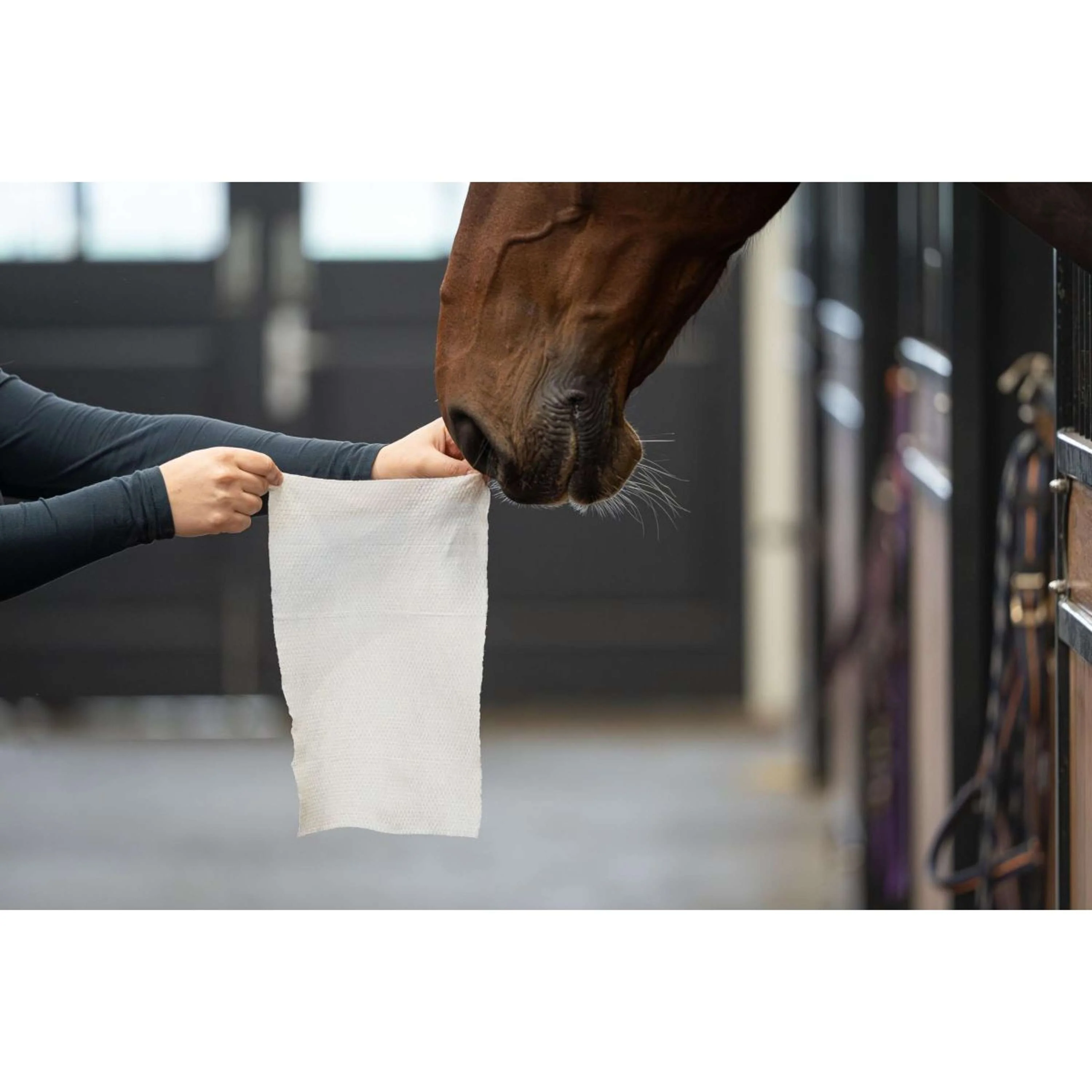 HB HorseWipes Natural Clean Weiß - Image 5