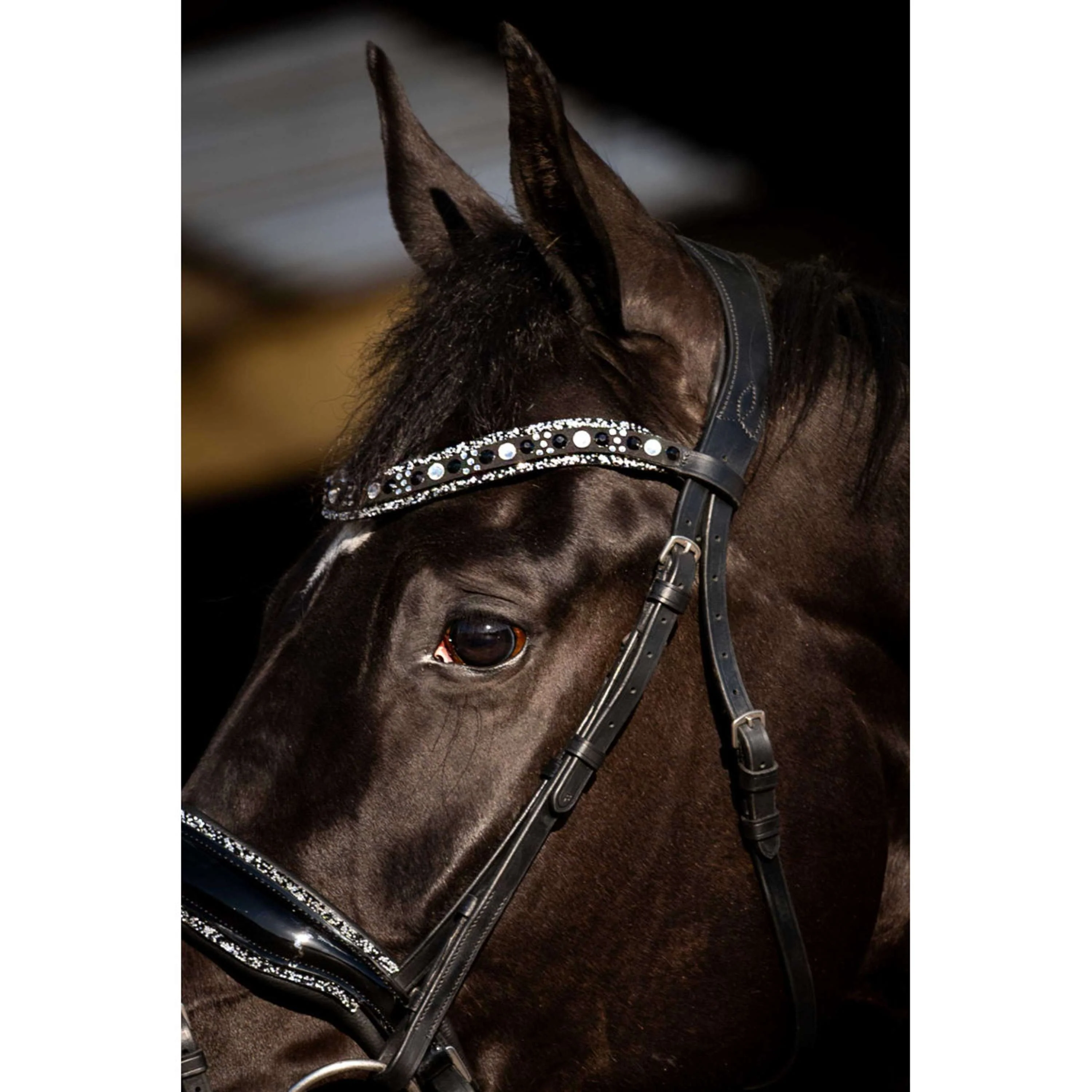 HB Zaum Black River Schwarz - Image 4
