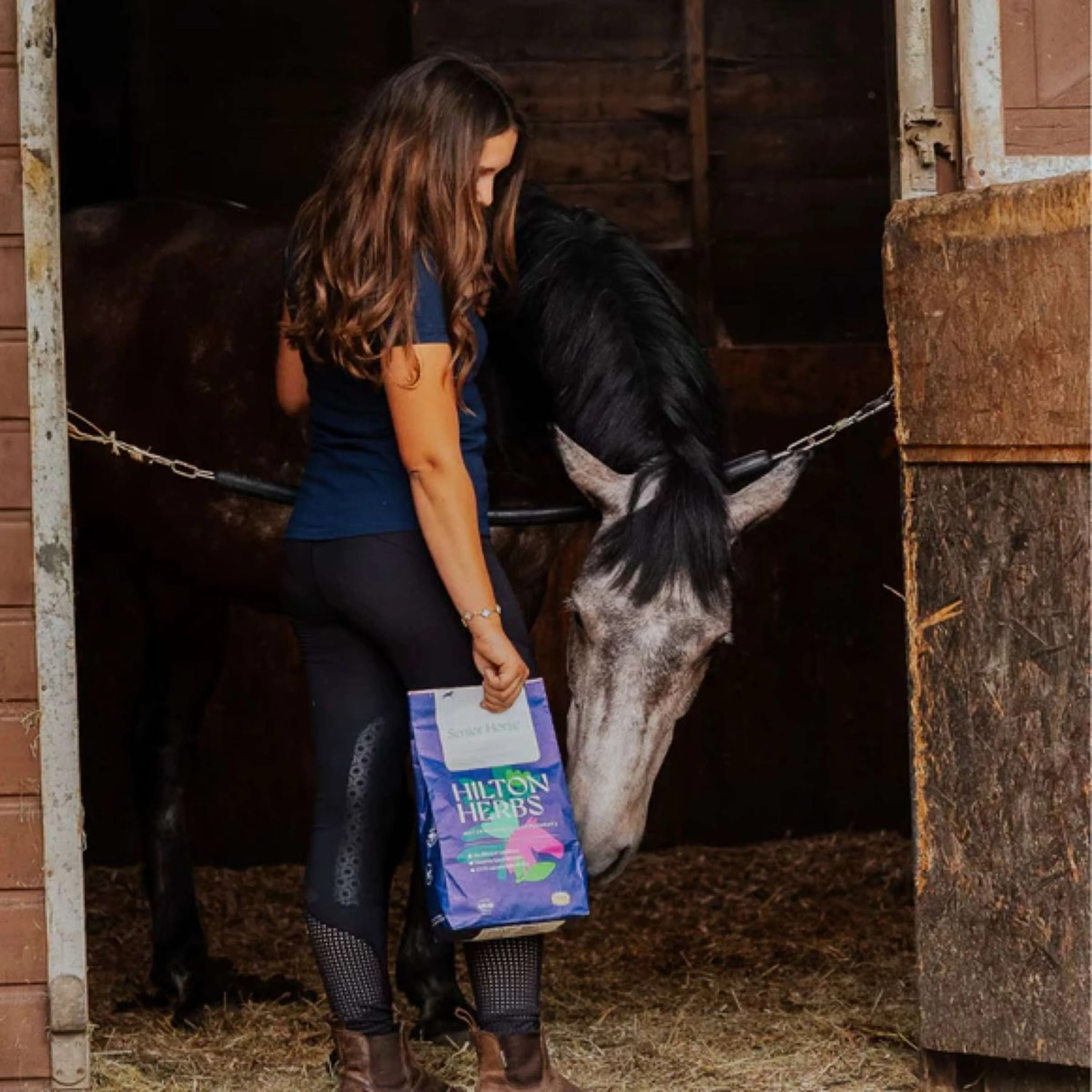 Hilton Herbs Senior Horse - Image 2