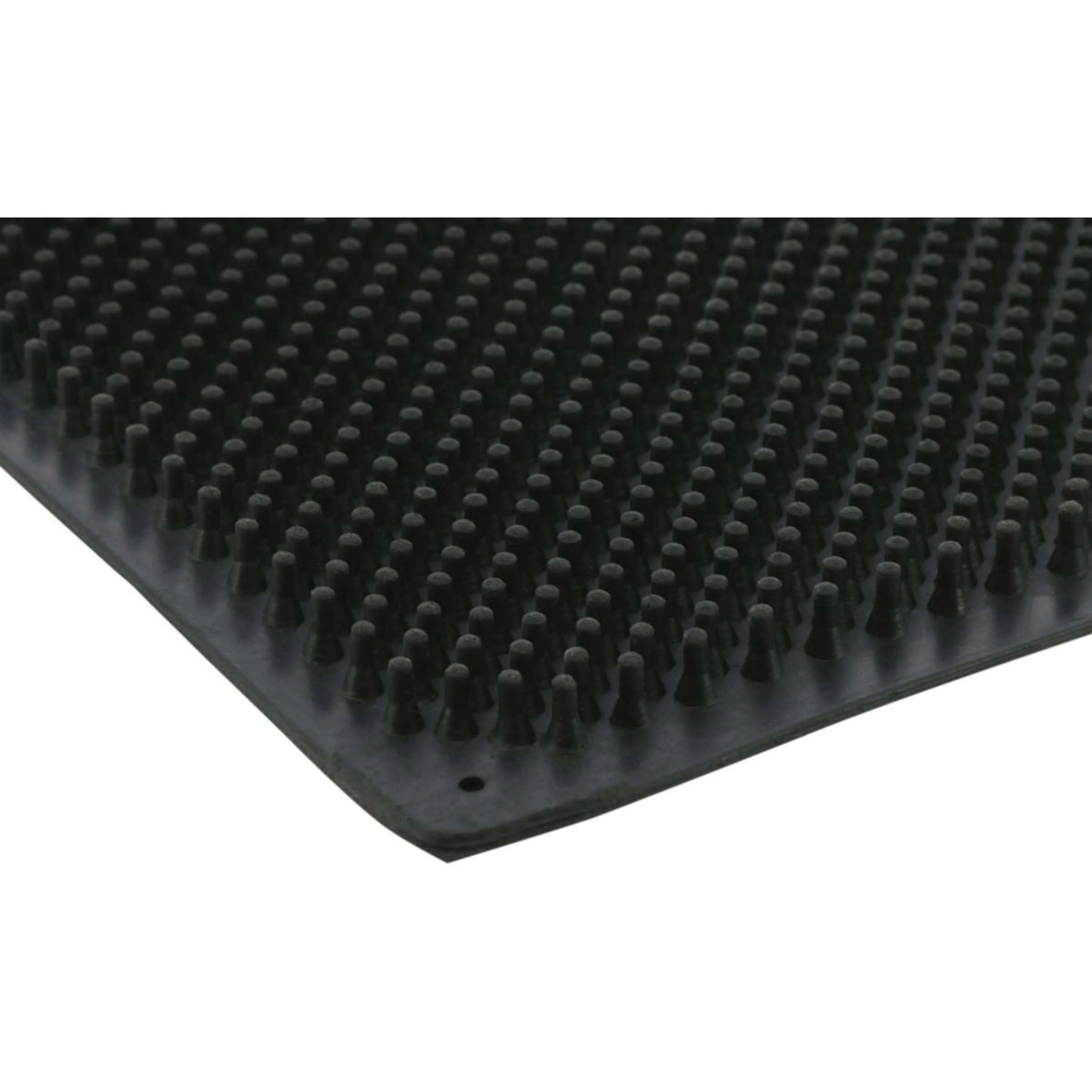 Hippotonic Katzer Wall Schwarz - Image 2