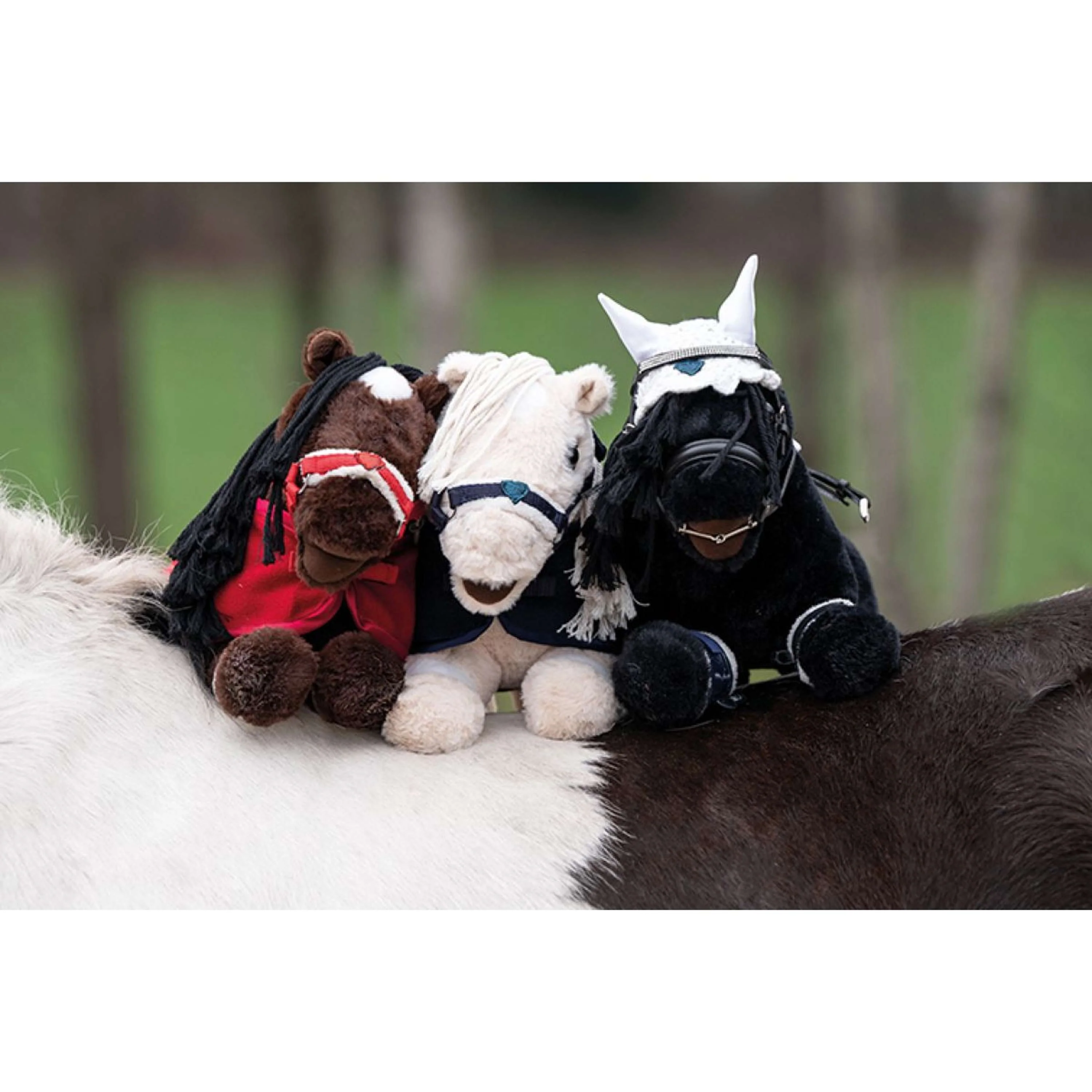 HKM Cuddle Pony Schwarz - Image 3