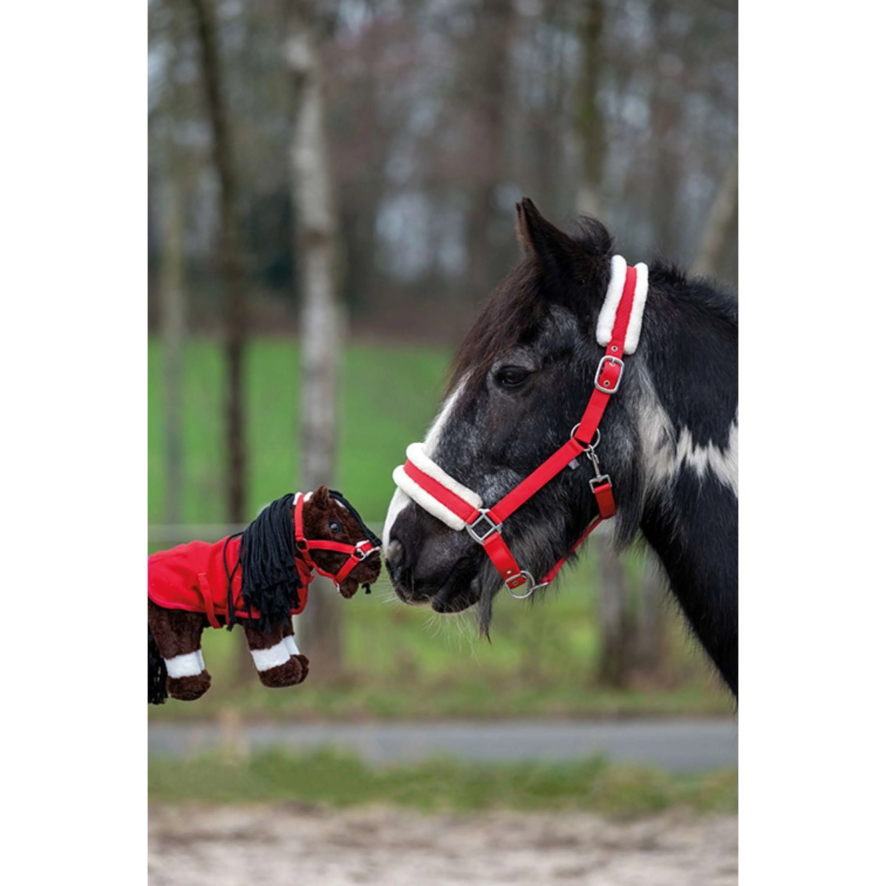 HKM Cuddle Pony Starterset Rot - Image 3