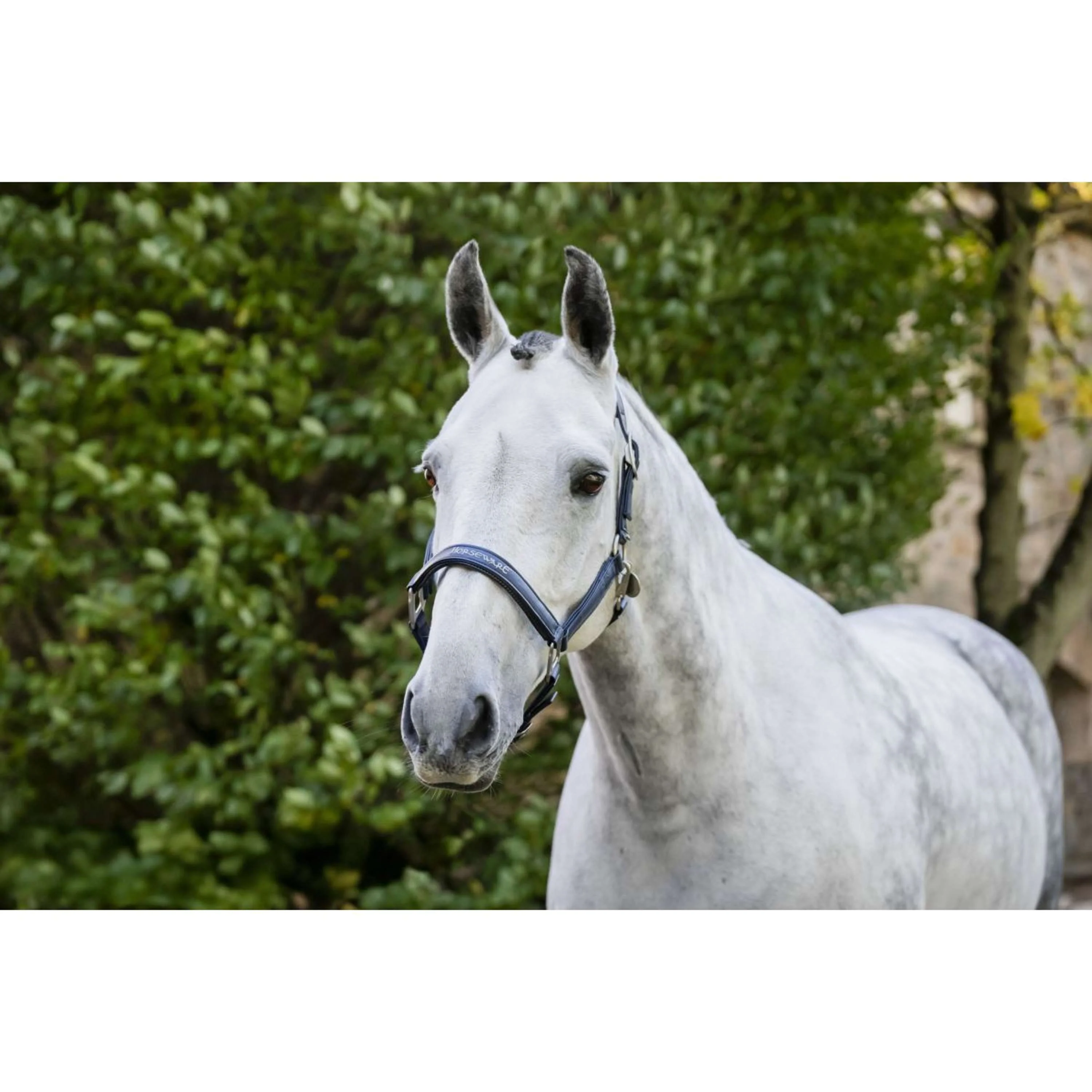 Horseware Halfter Grooming Navy - Image 12