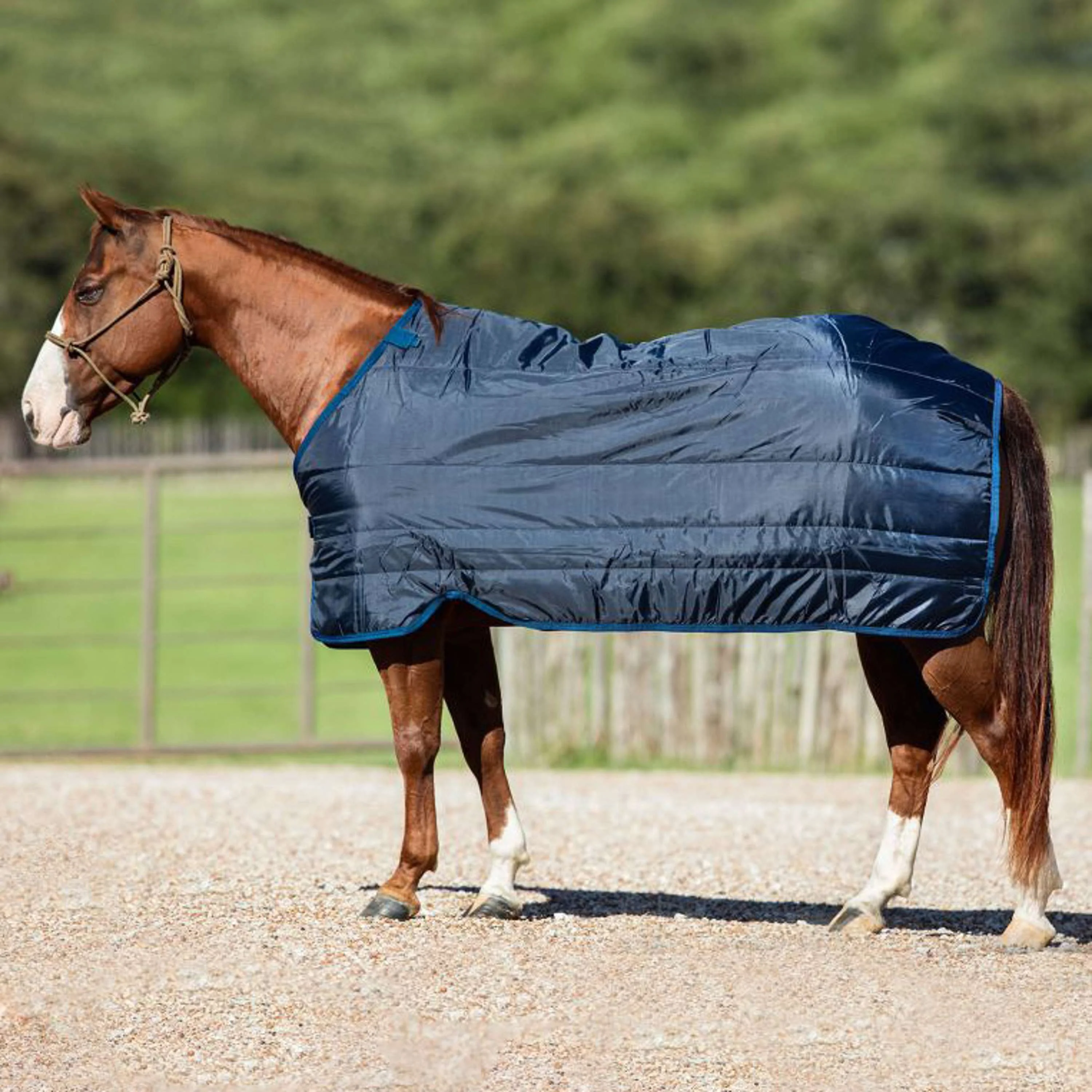 Horseware Liner 400g Navy - Image 2