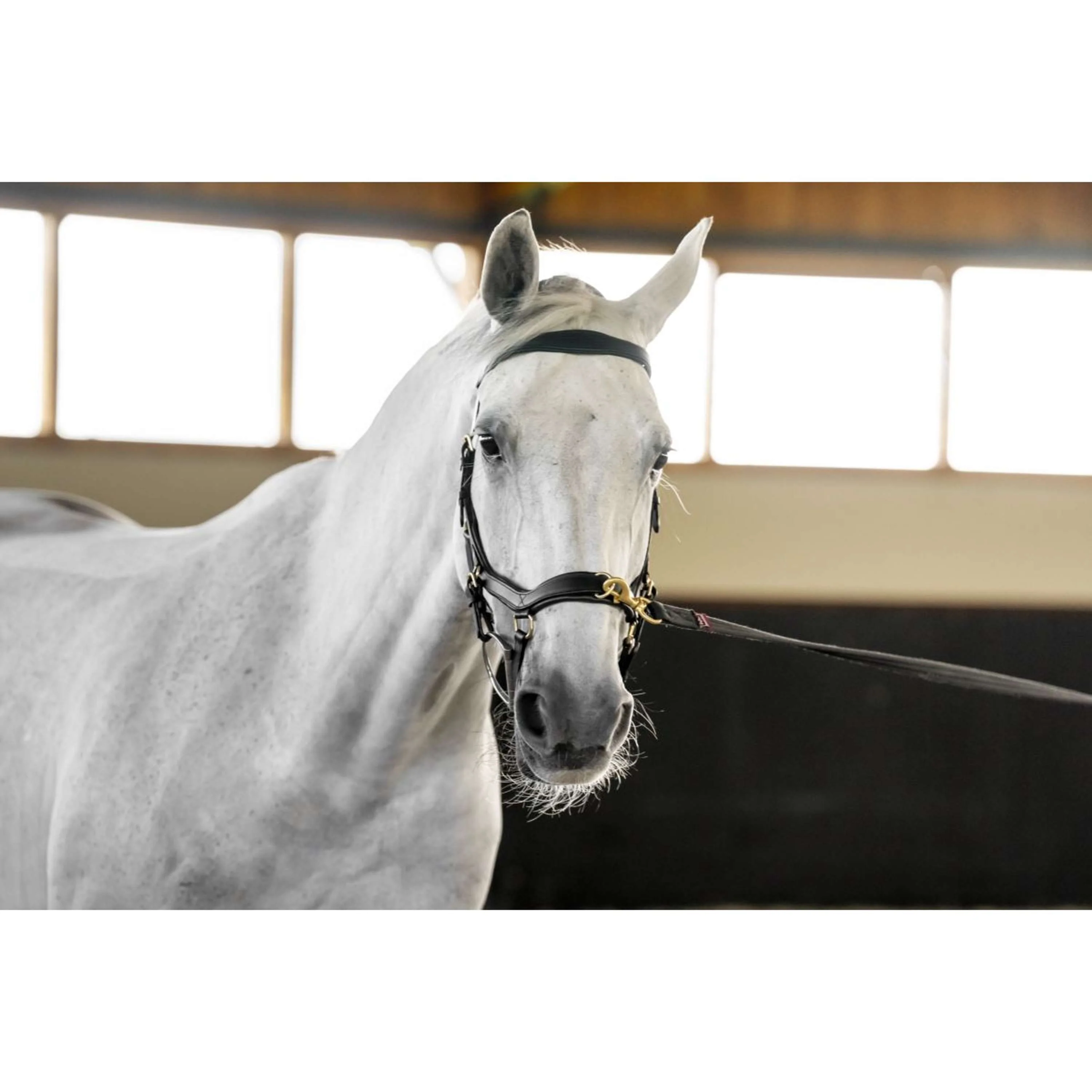 Horseware Micklem Multi Bridle Schwarz - Image 11