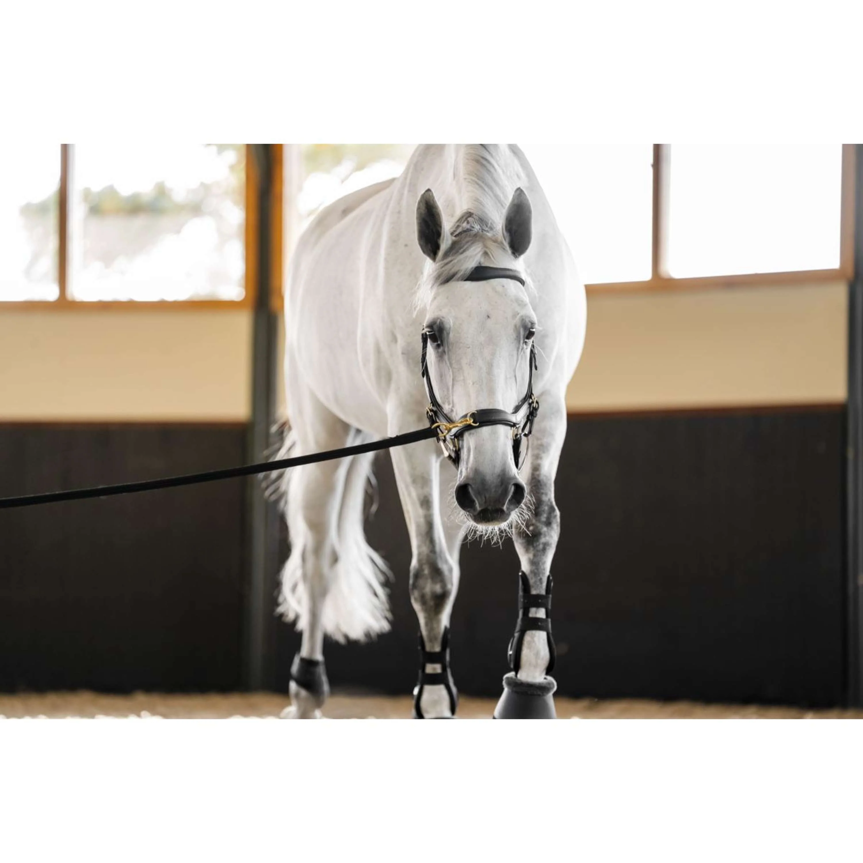 Horseware Micklem Multi Bridle Schwarz - Image 14
