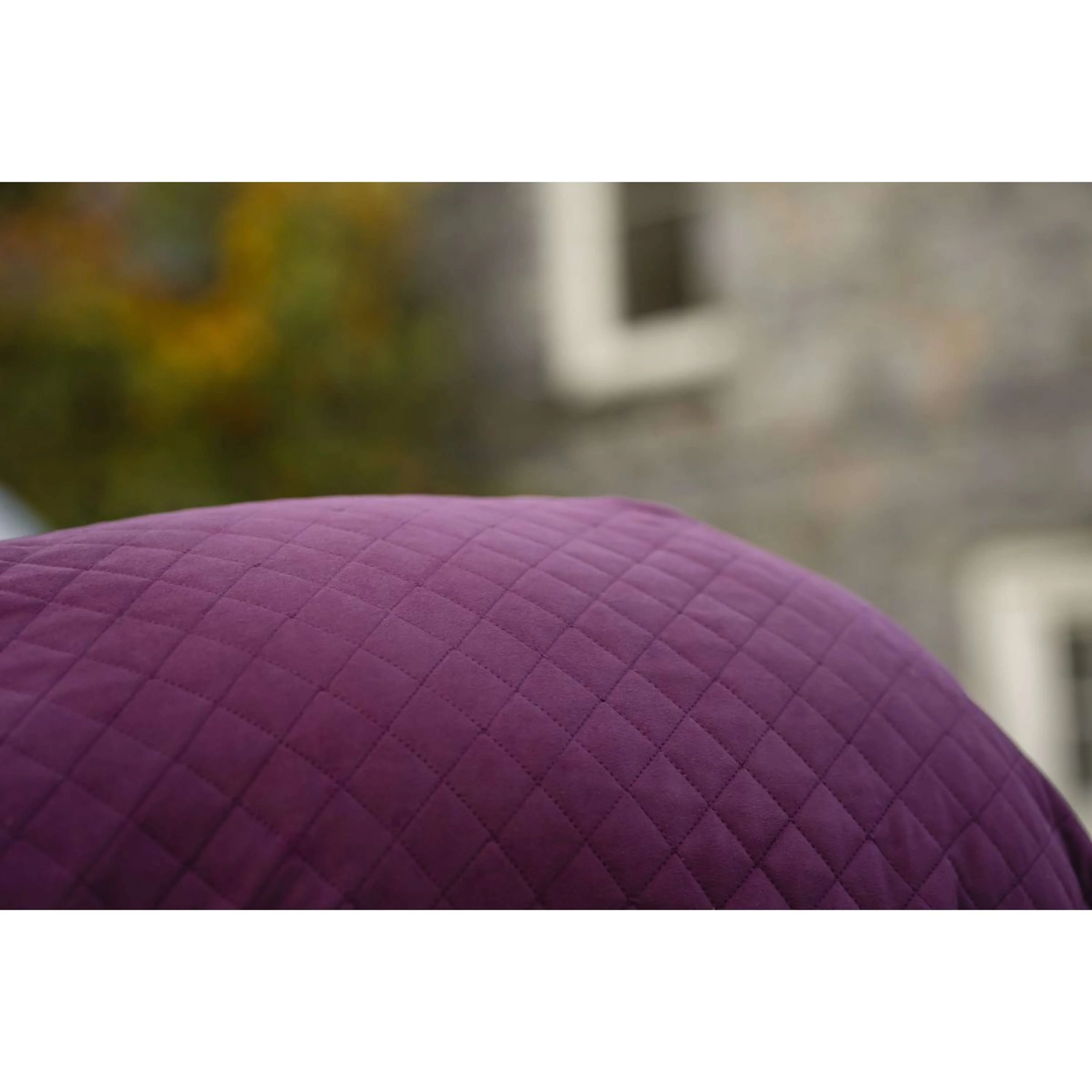 Horseware Travel Cooler Signature Burgunderrot - Image 10