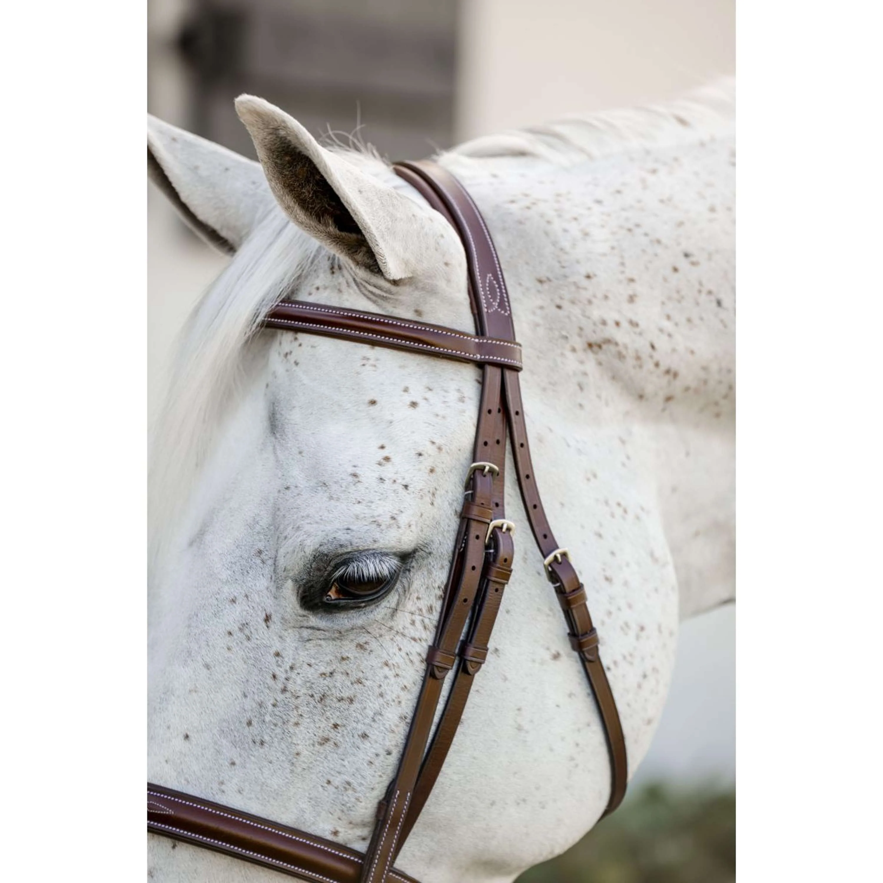 Horseware Zaum Hunter Cavesson mit Zügeln Dark Tan - Image 3
