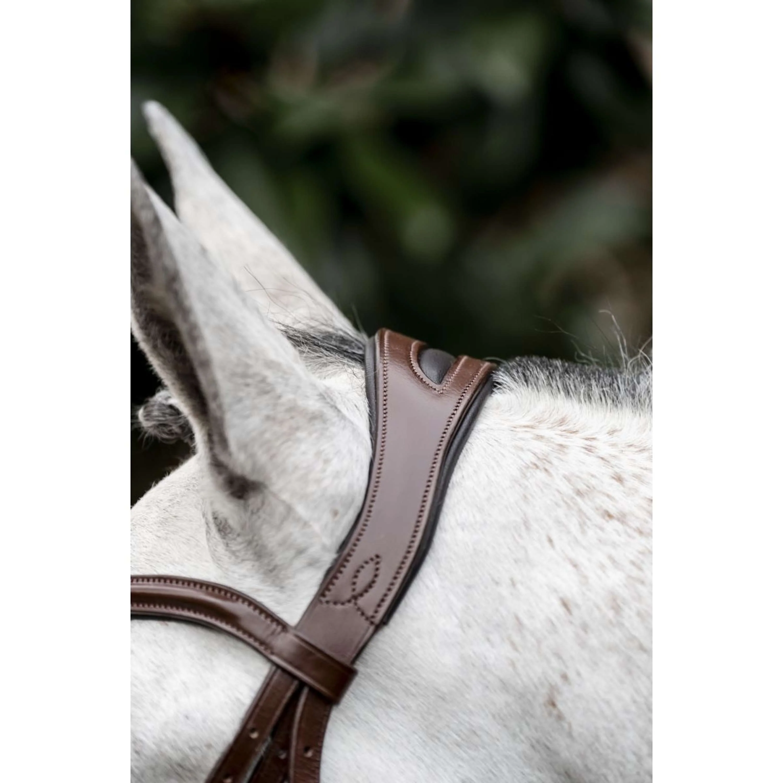 Horseware Zaum Pony Flash Braun - Image 10