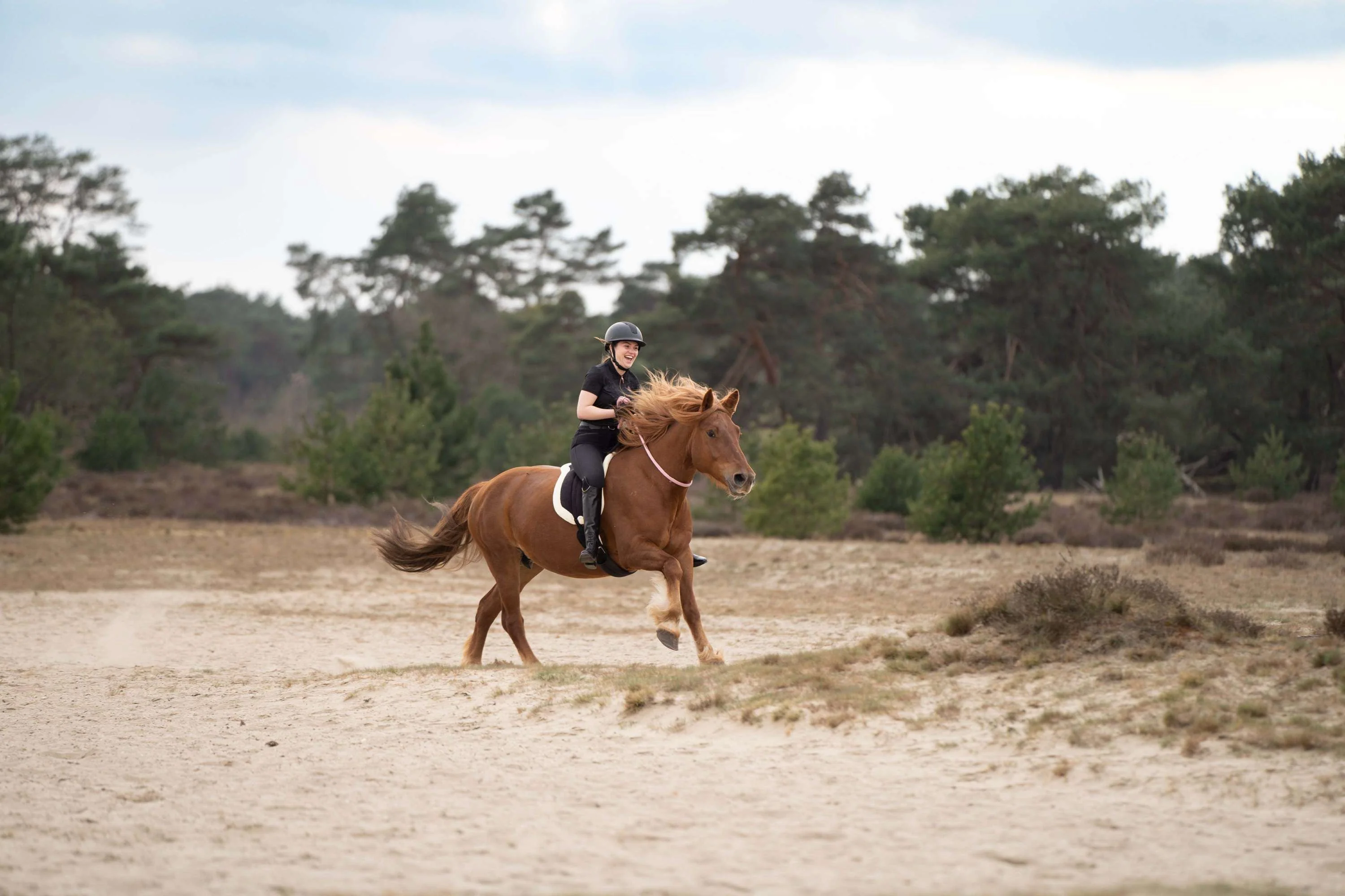 Imperial Riding Bareback Pad IRHFree Ride Schwarz - Image 2