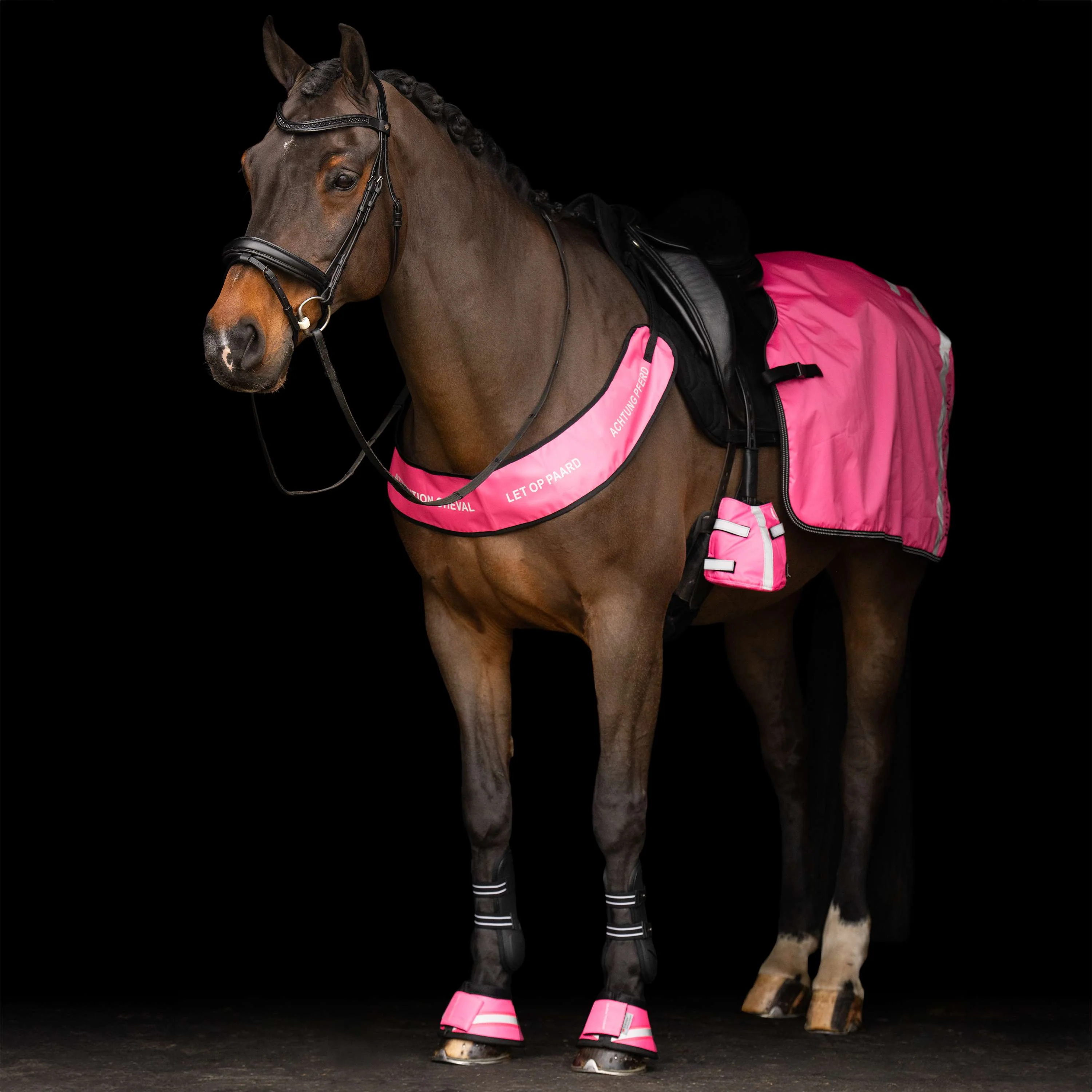 Imperial Riding Brustgeschirr IRHReflective Pink - Image 4