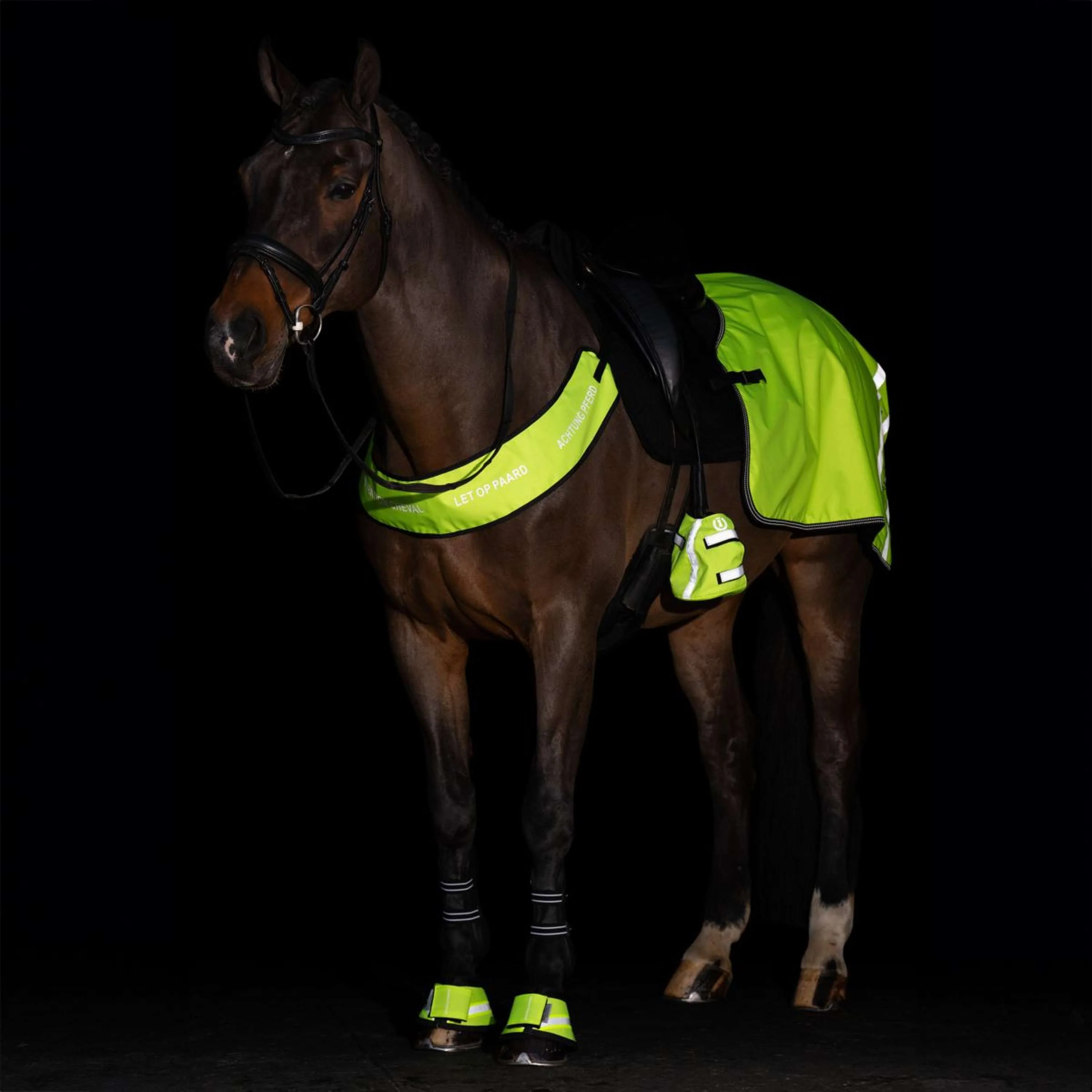 Imperial Riding Hufglocken IRHReflective Gelb - Image 3