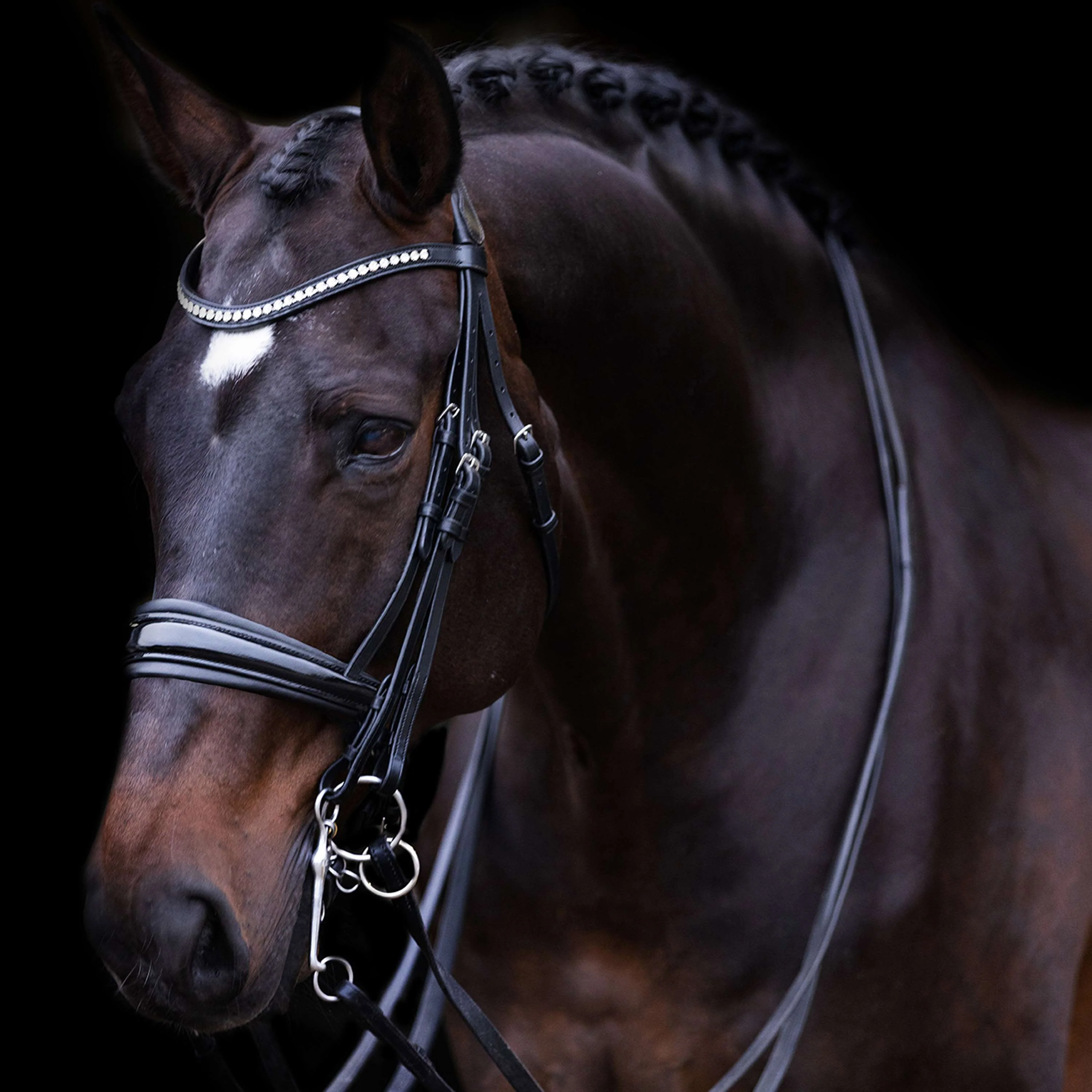 Imperial Riding Kandarenzaum IRHFria Schwarz - Image 3