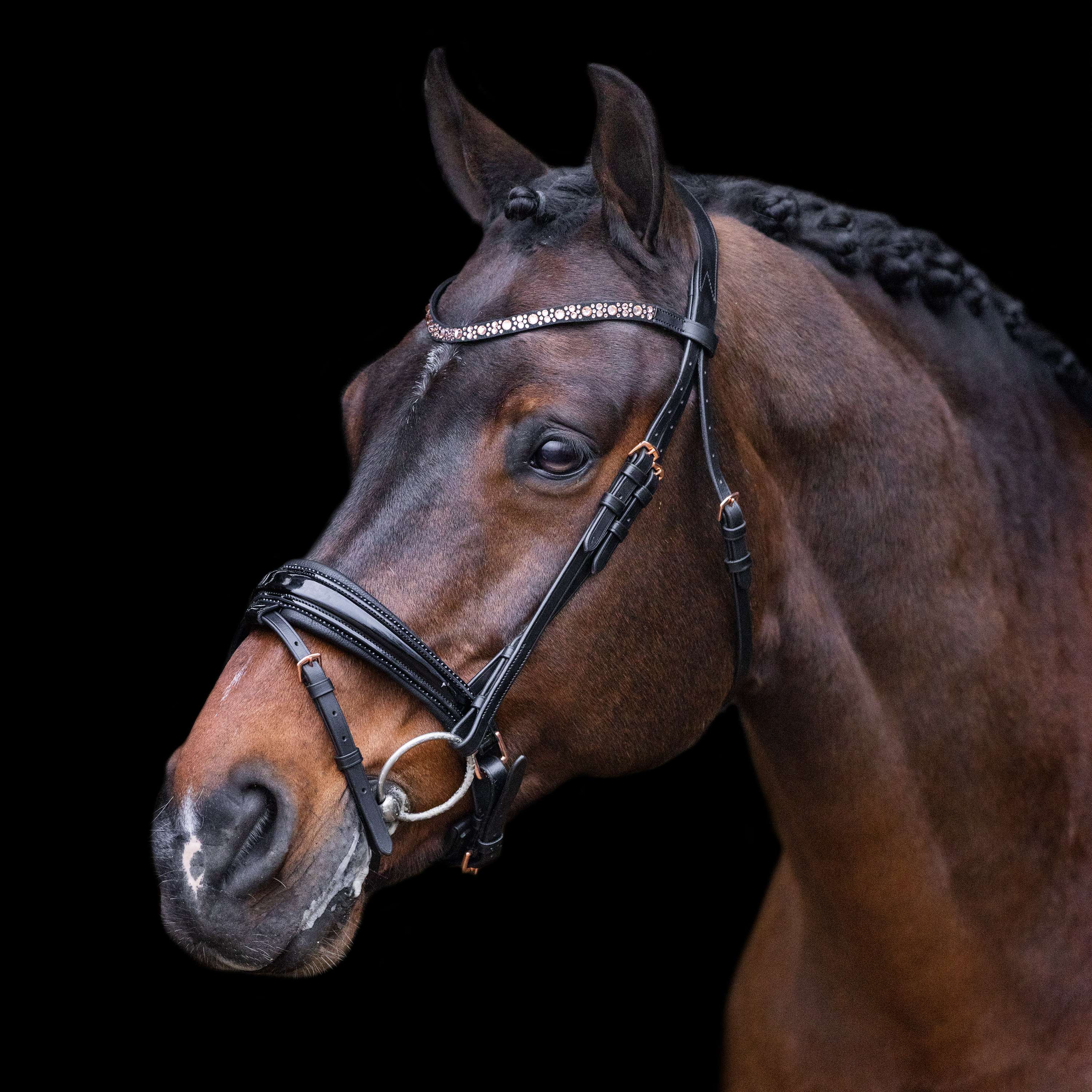 Imperial Riding Zaum IRHOlympia Schwarz/Rosegold - Image 2
