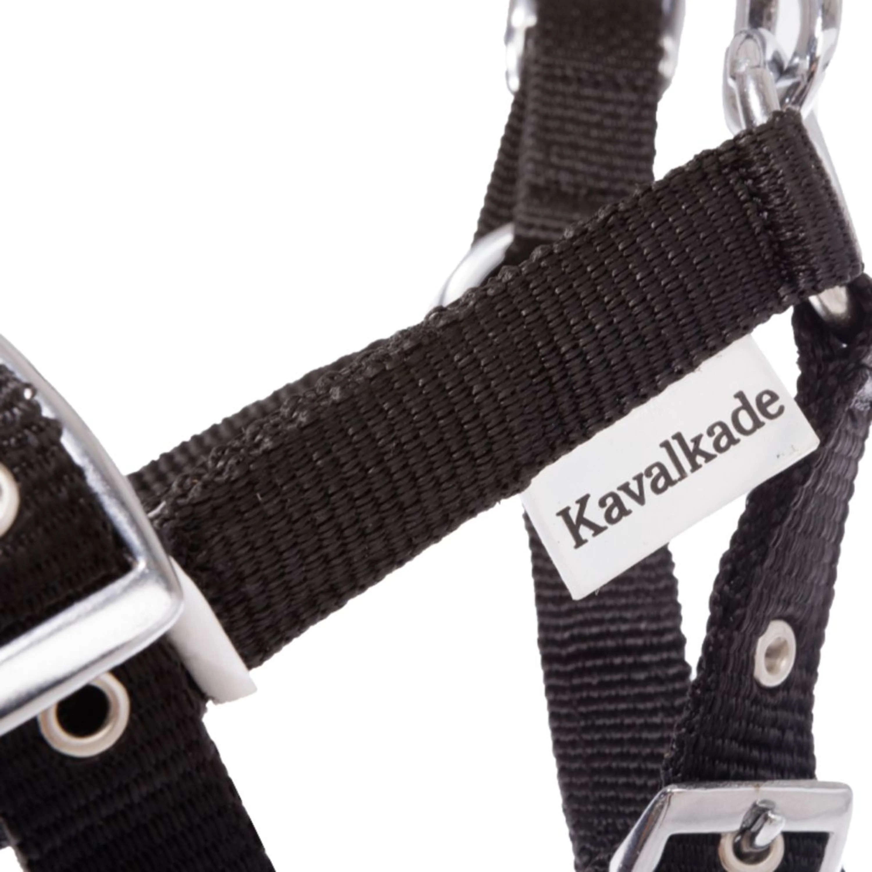 Kavalkade Fohlen- und Jährlingshalfter Blau - Image 3