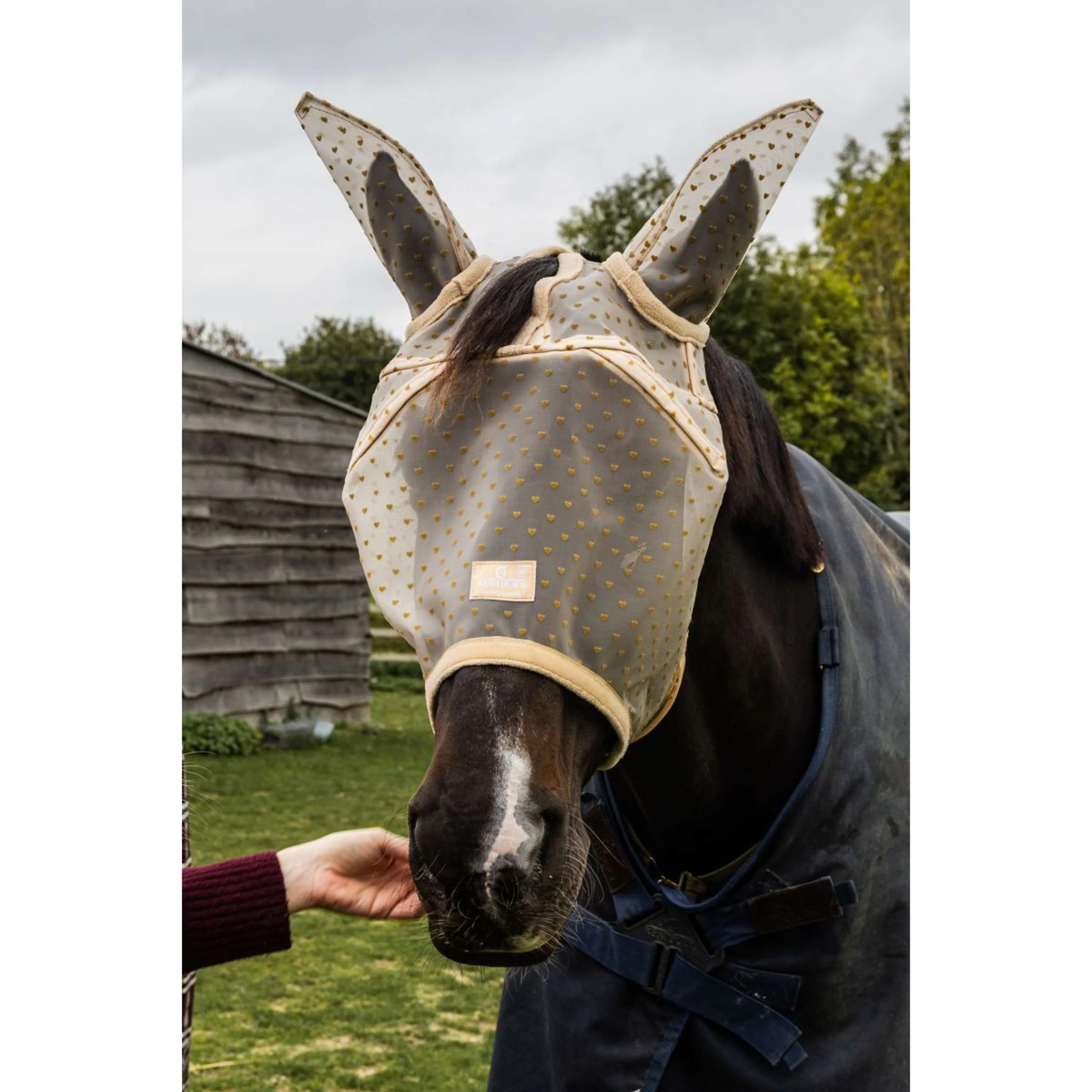 Kentucky Fliegenmaske Heart mit Ohren und Nase Beige - Image 4