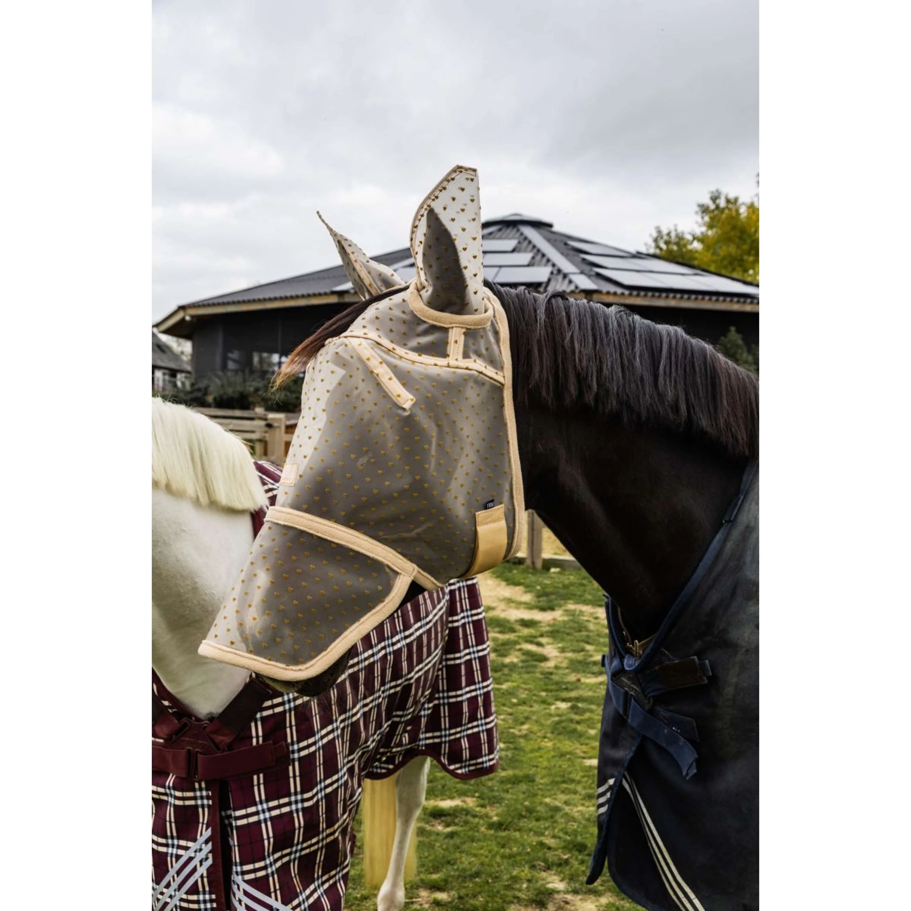 Kentucky Fliegenmaske Heart mit Ohren und Nase Beige - Image 7