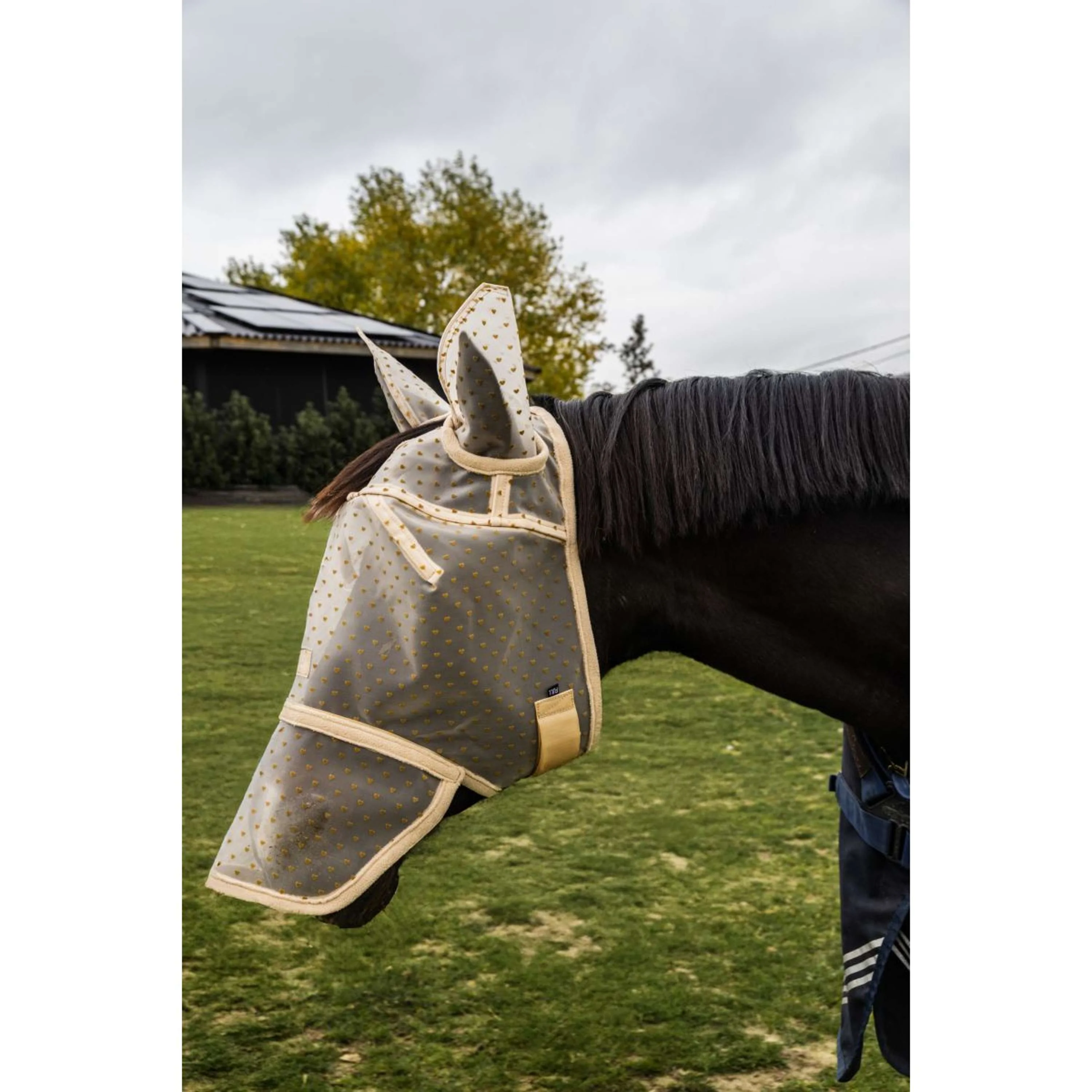 Kentucky Fliegenmaske Heart mit Ohren und Nase Beige - Image 8
