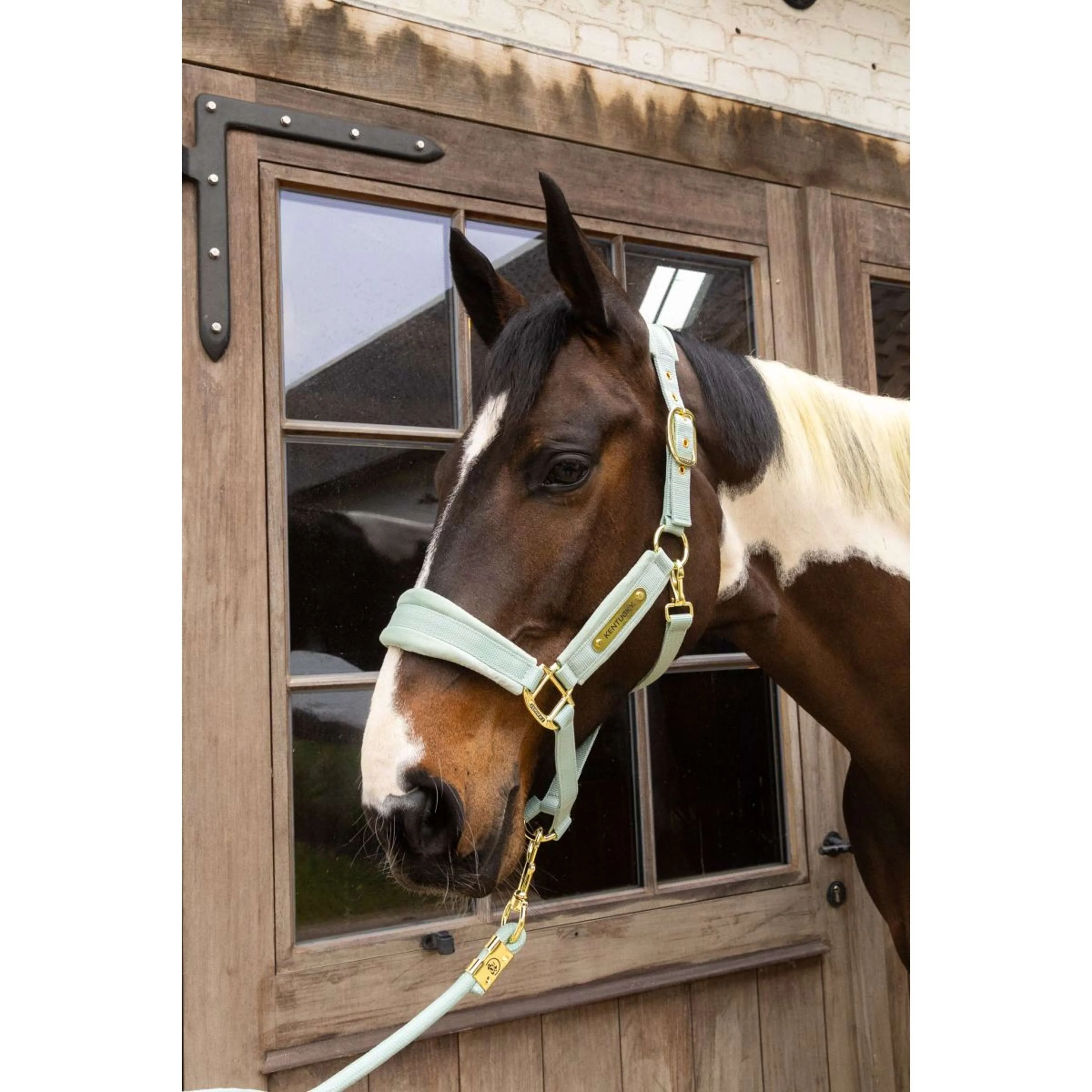 Kentucky Halfter Velvet Mint - Image 2