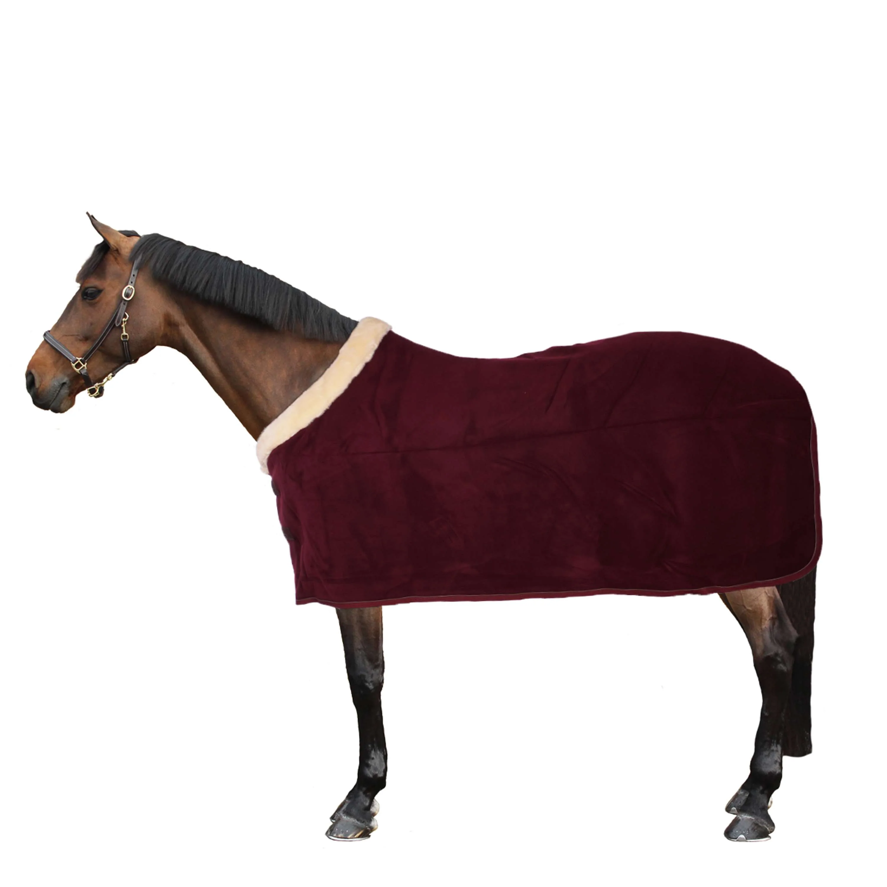 Kentucky Abschwitzdecke Show Fleece Heavy Bordeaux - Image 4