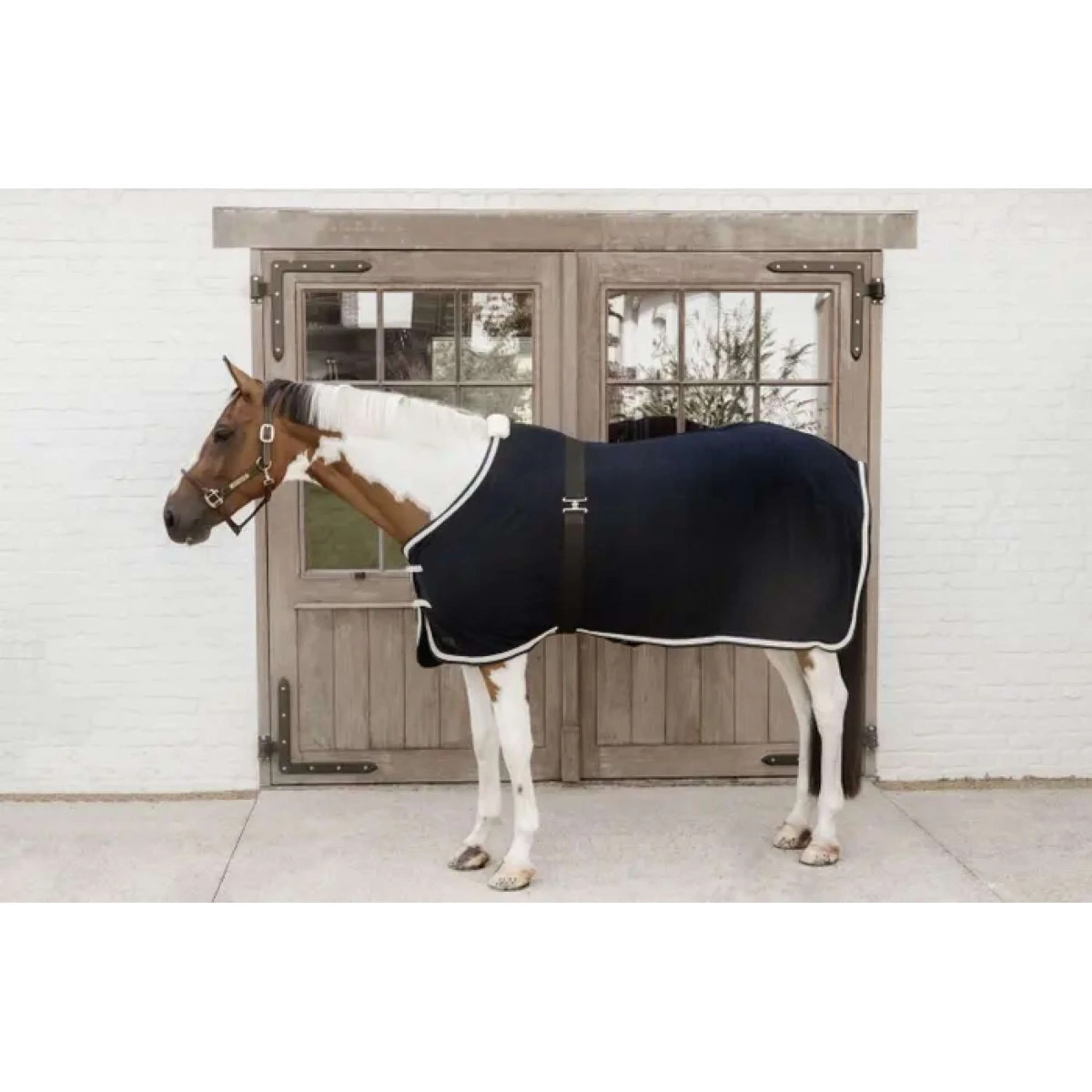Kentucky Horsewear Deckengurt Elastic Schwarz - Image 3