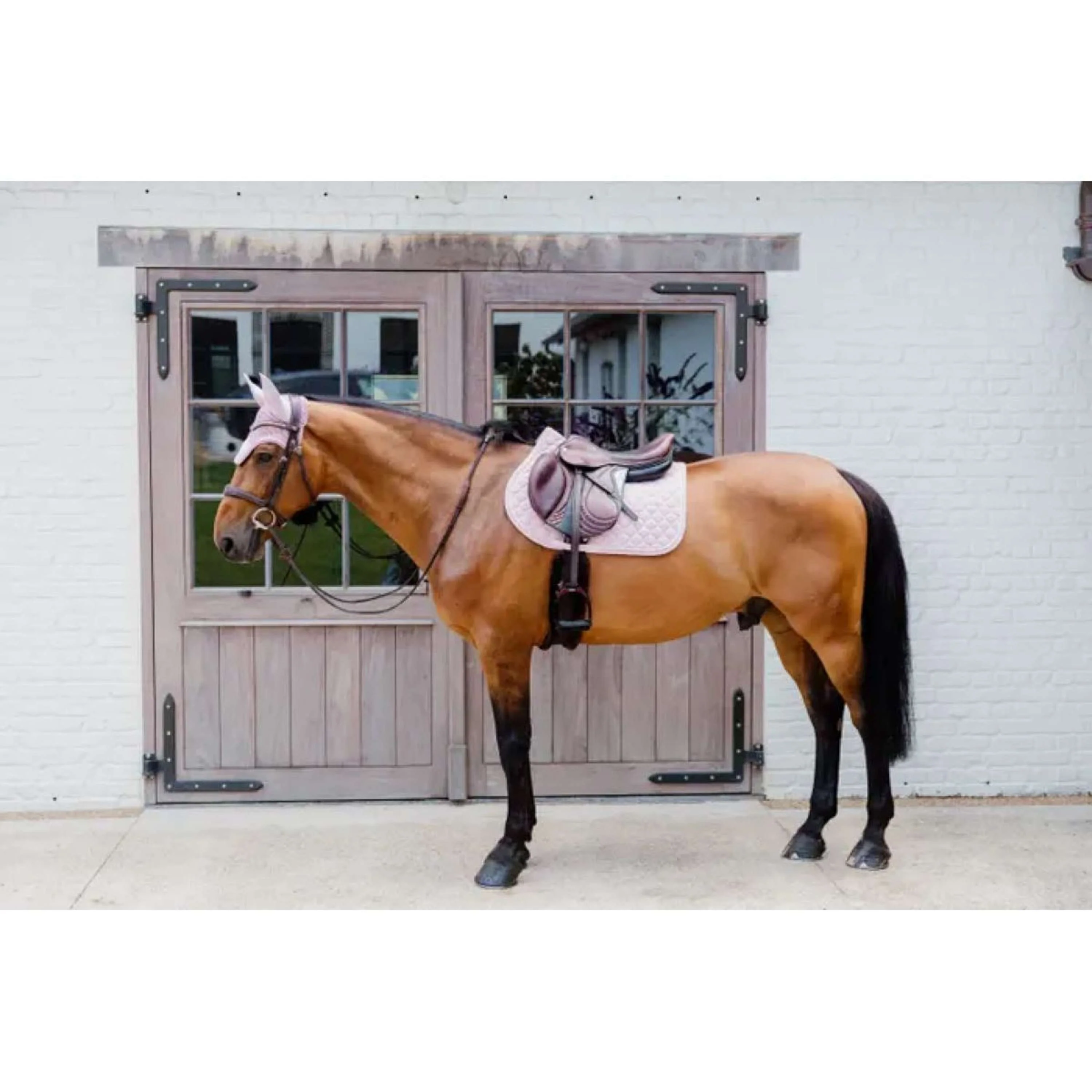 Kentucky Horsewear Fliegenhaube Wellington 3D Logo Hellrosa - Image 3