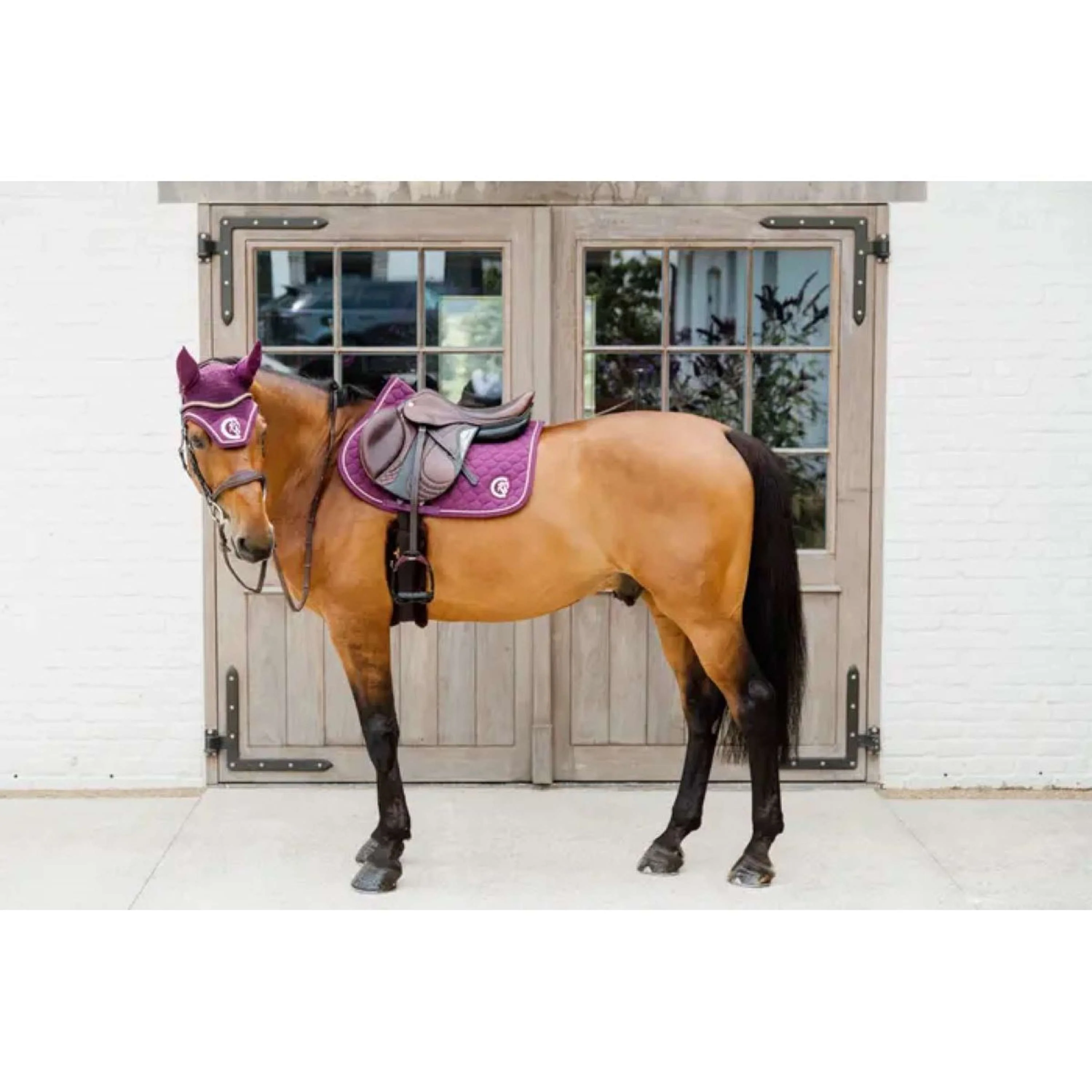 Kentucky Horsewear Fliegenhaube Wellington 3D Logo Violett - Image 4