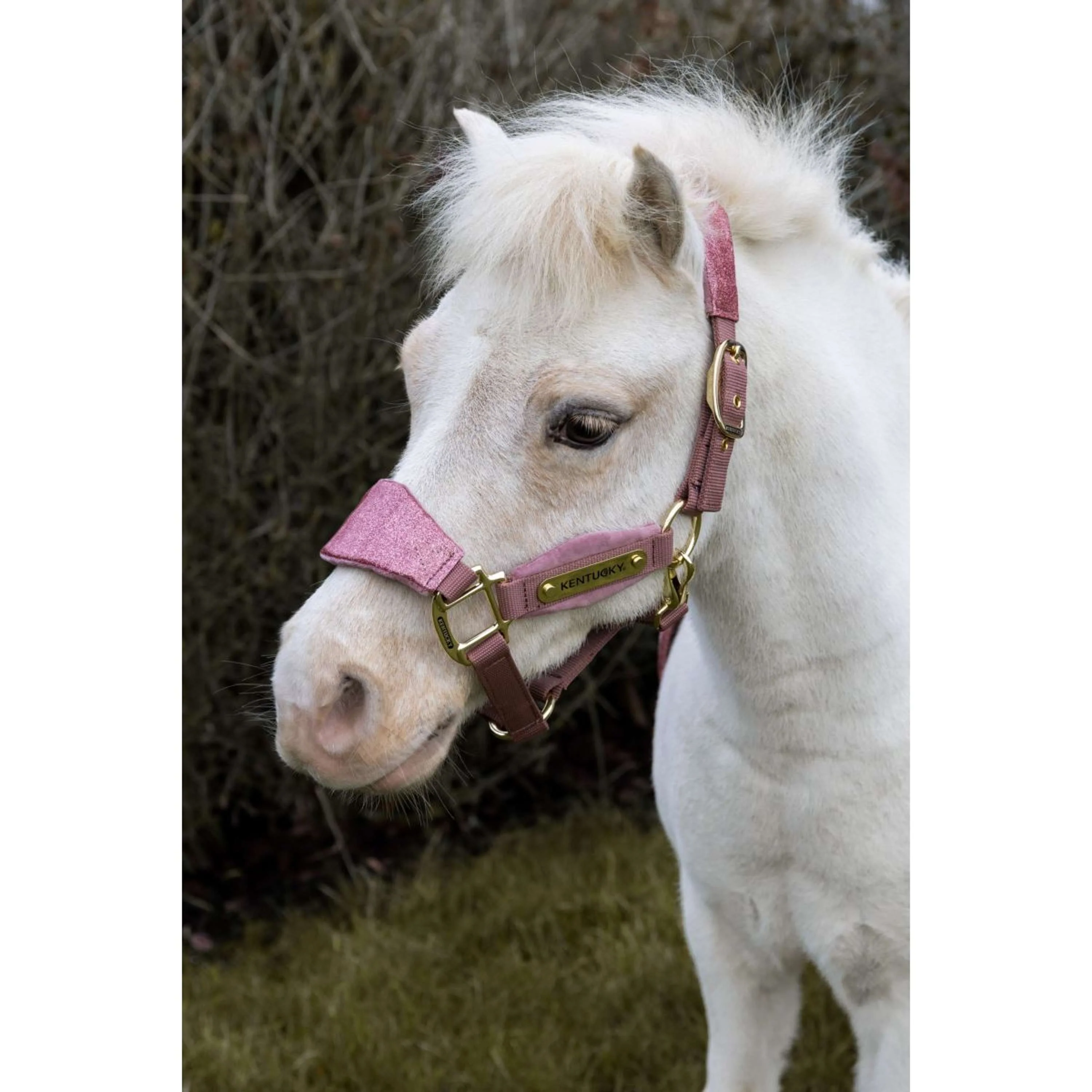 Kentucky Horsewear Halfter Velvet Glitter Unicorn Altrosa - Image 8