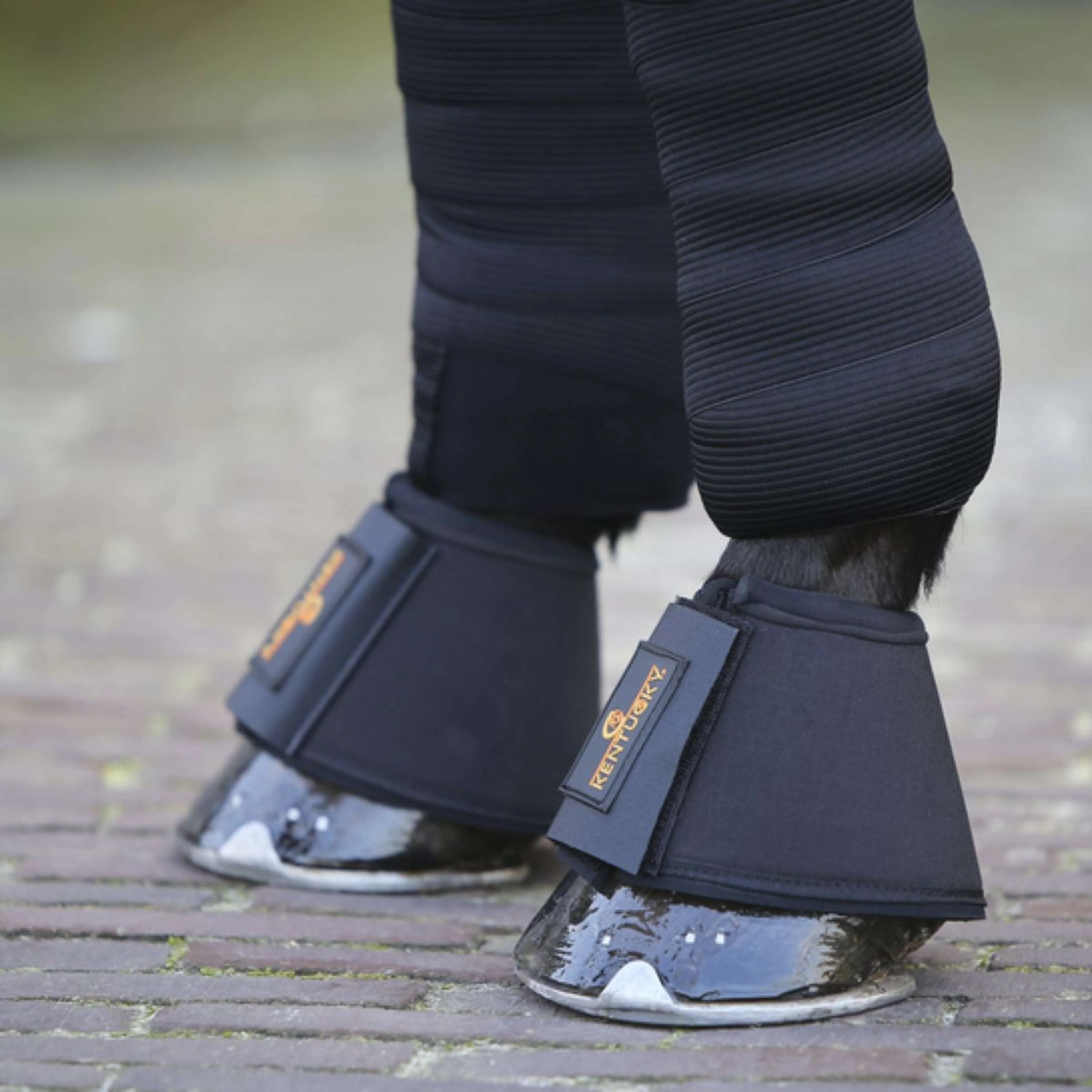 Kentucky Horsewear Hufglocken Schwarz - Image 2