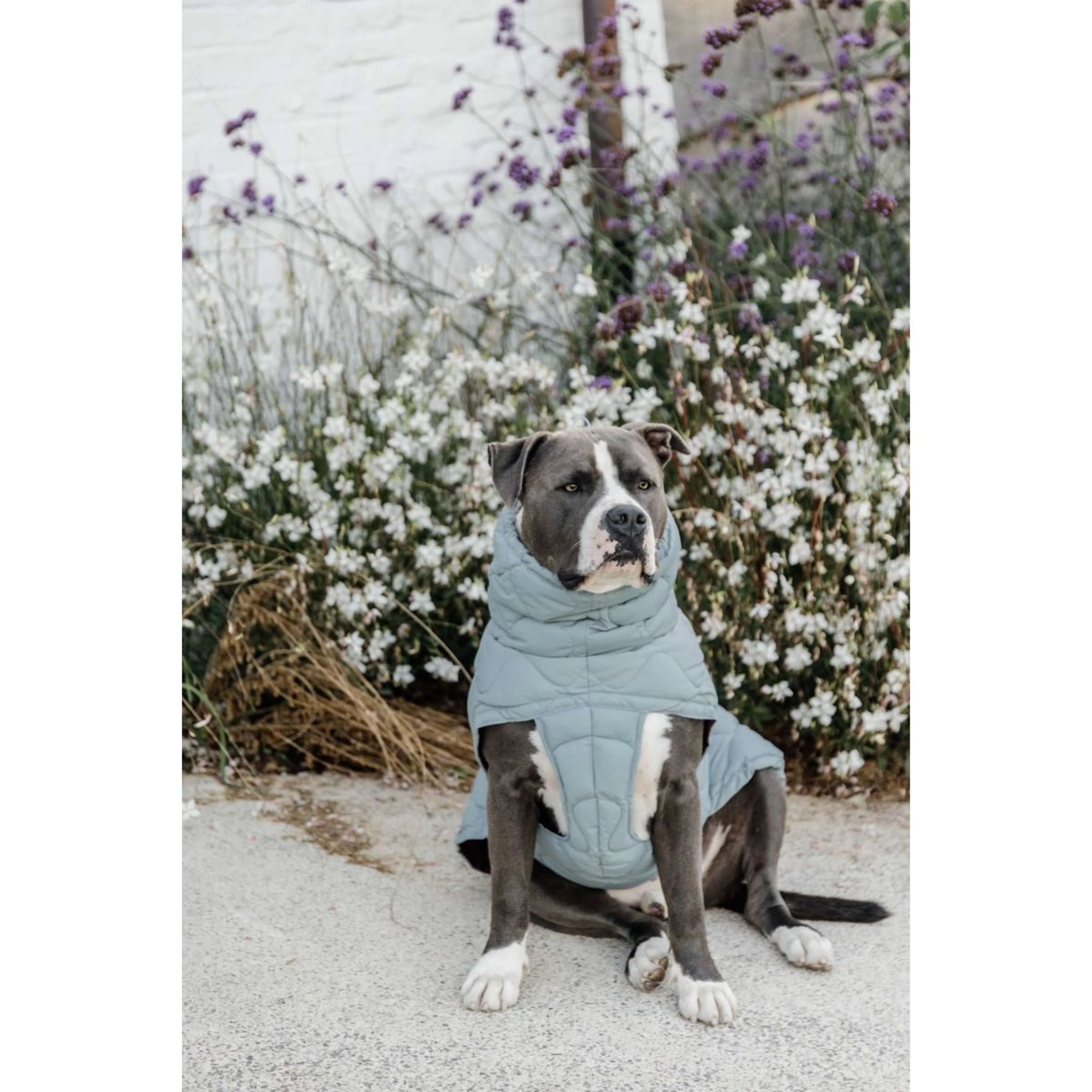 Kentucky Hundedecke Winter Pina 160g Dusty Blue - Image 10