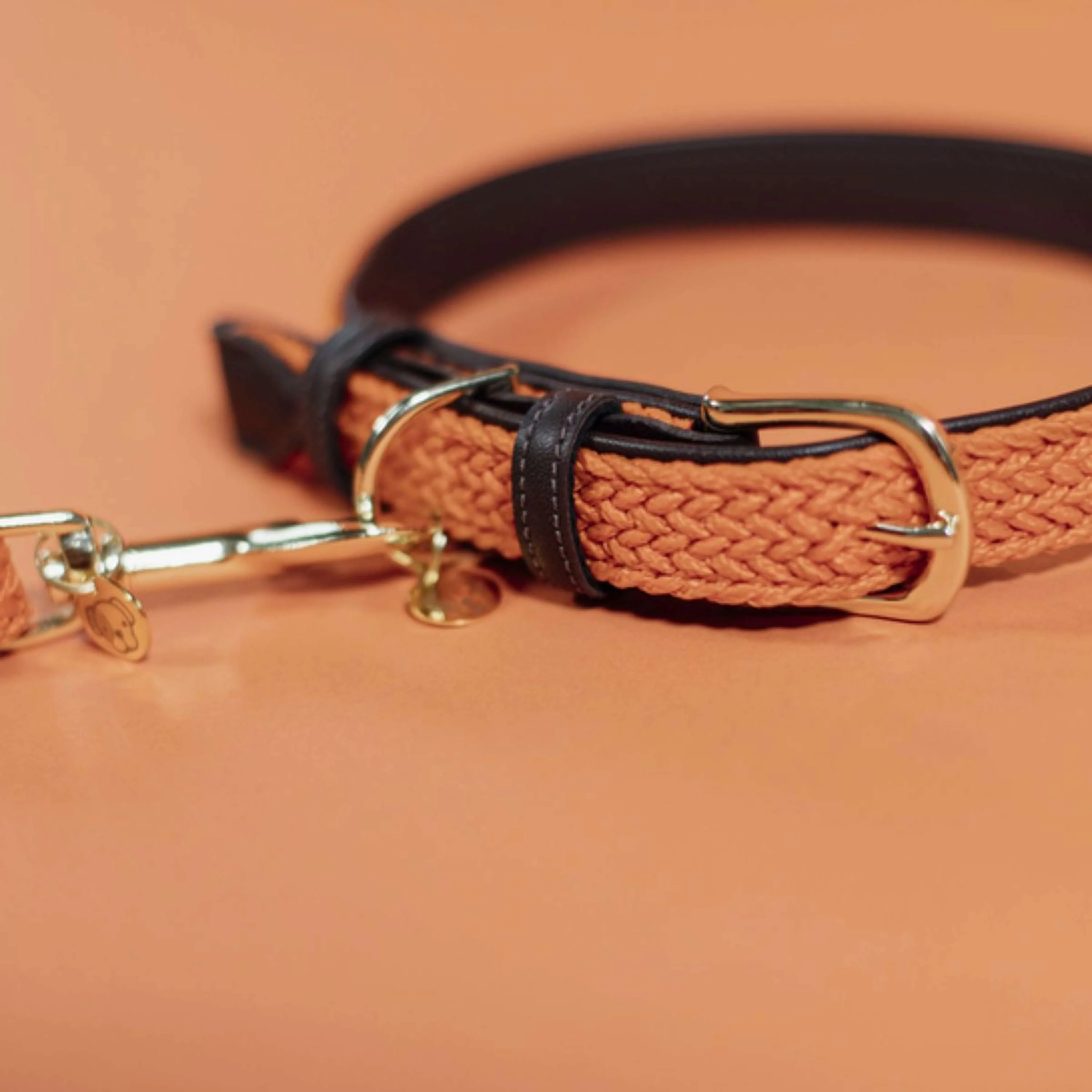 Kentucky Kragen Plaited Nylon Orange - Image 3