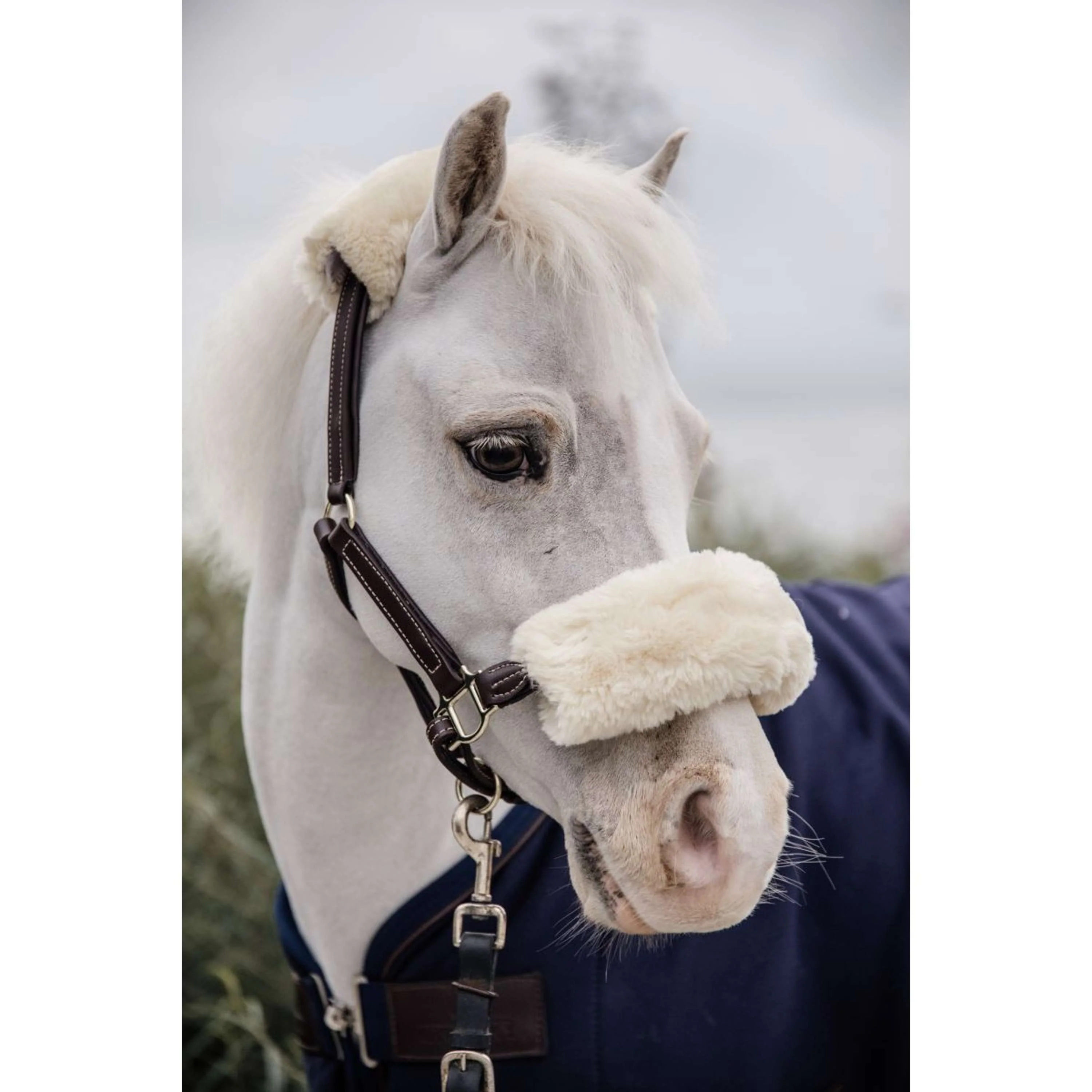 Kentucky Lederhalfter Leather Sheepskin - Image 4