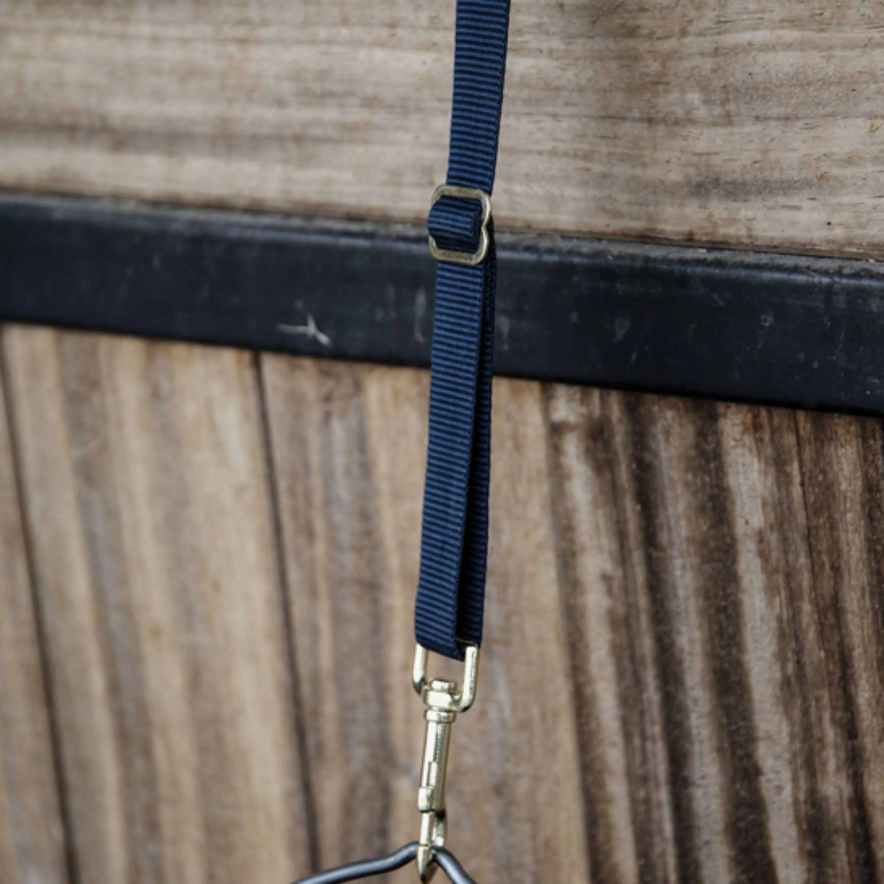 Kentucky Nylon Halter Haken und Ring 1st Navy - Image 2