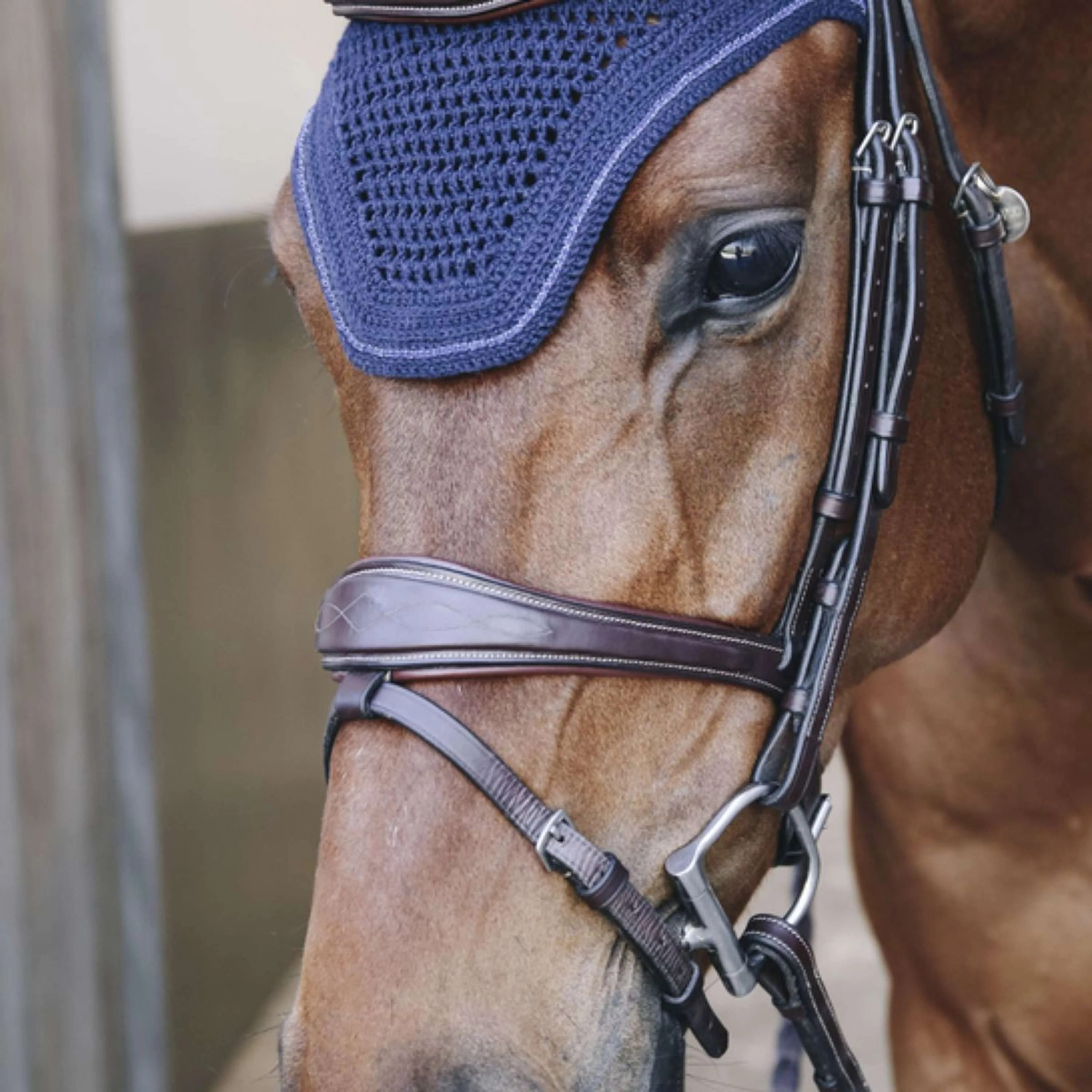 Kentucky Ohrnetz Wellington Sparkling Soundless Dark Navy - Image 2