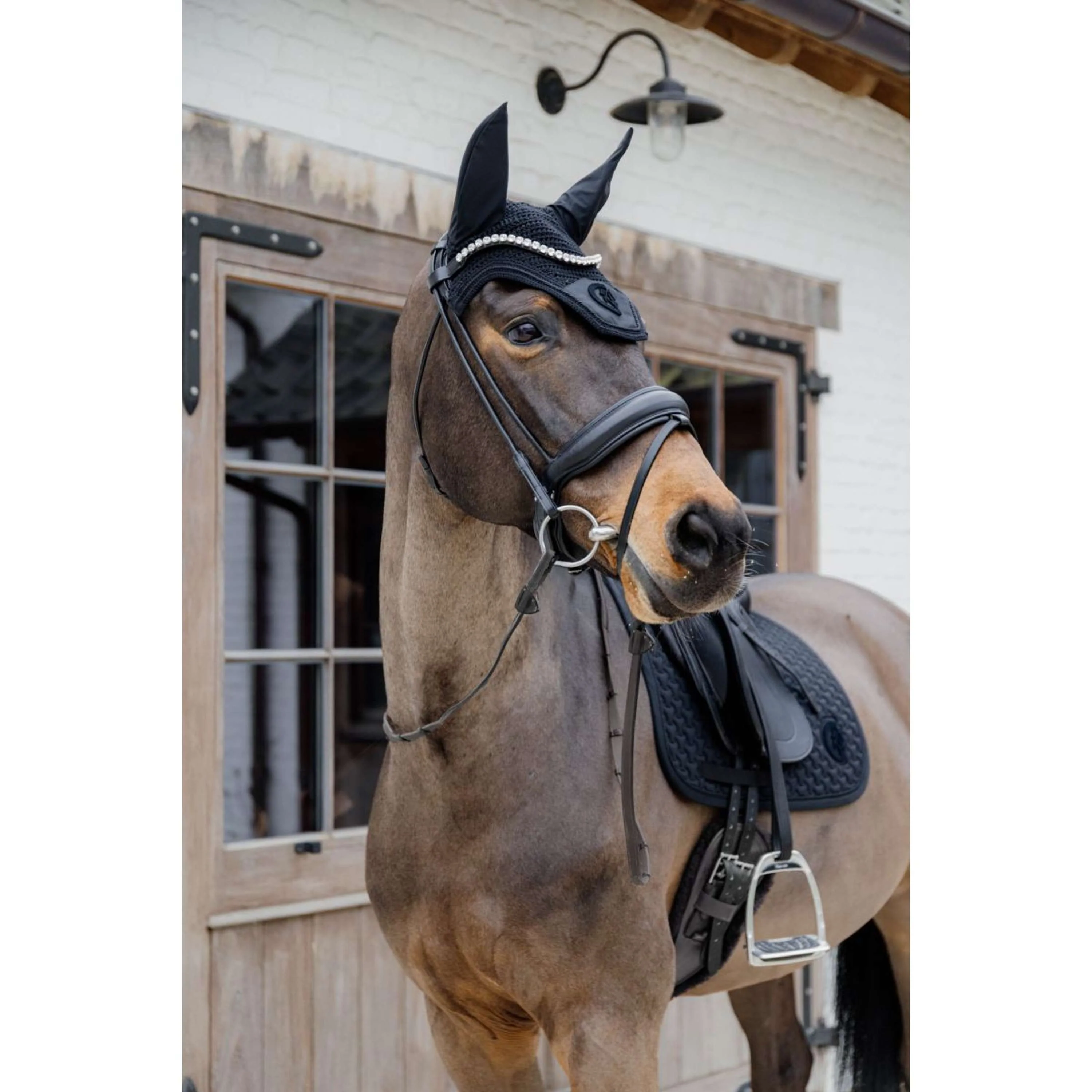 Kentucky Schabracke Plaited 3D Logo Dressur Schwarz - Image 4