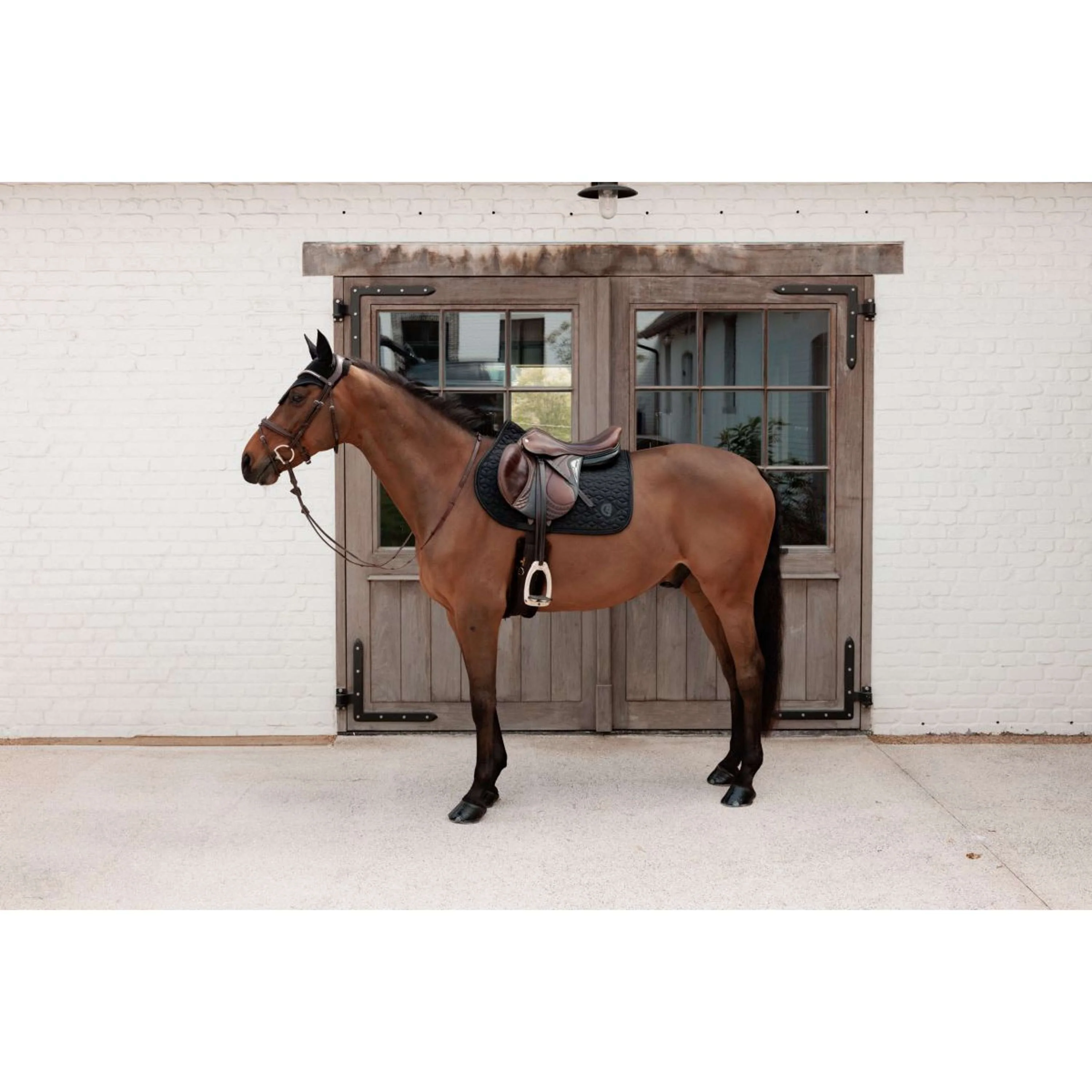 Kentucky Schabracke Sparkling Springen Schwarz - Image 2