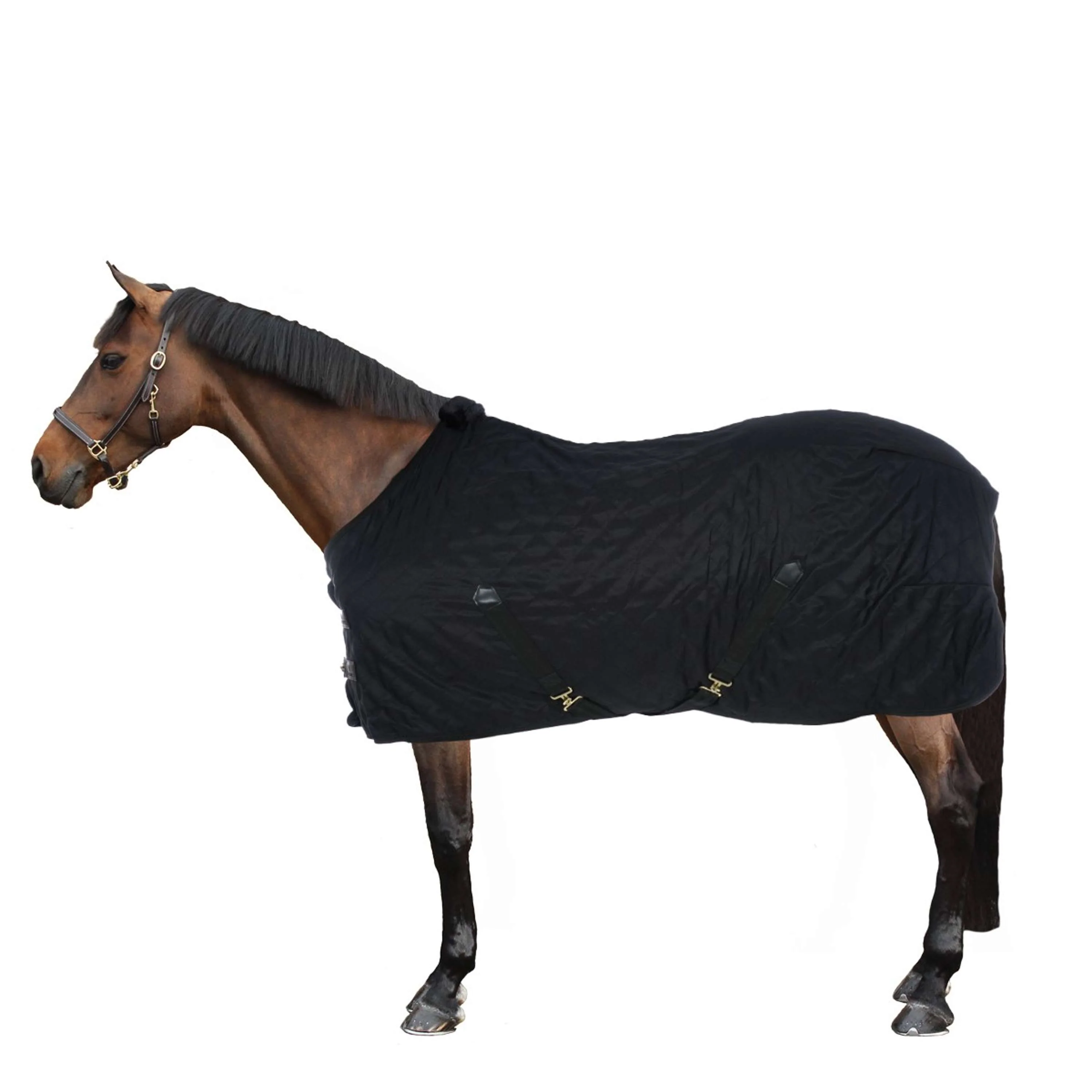 Kentucky Stalldecke 0g Schwarz - Image 5