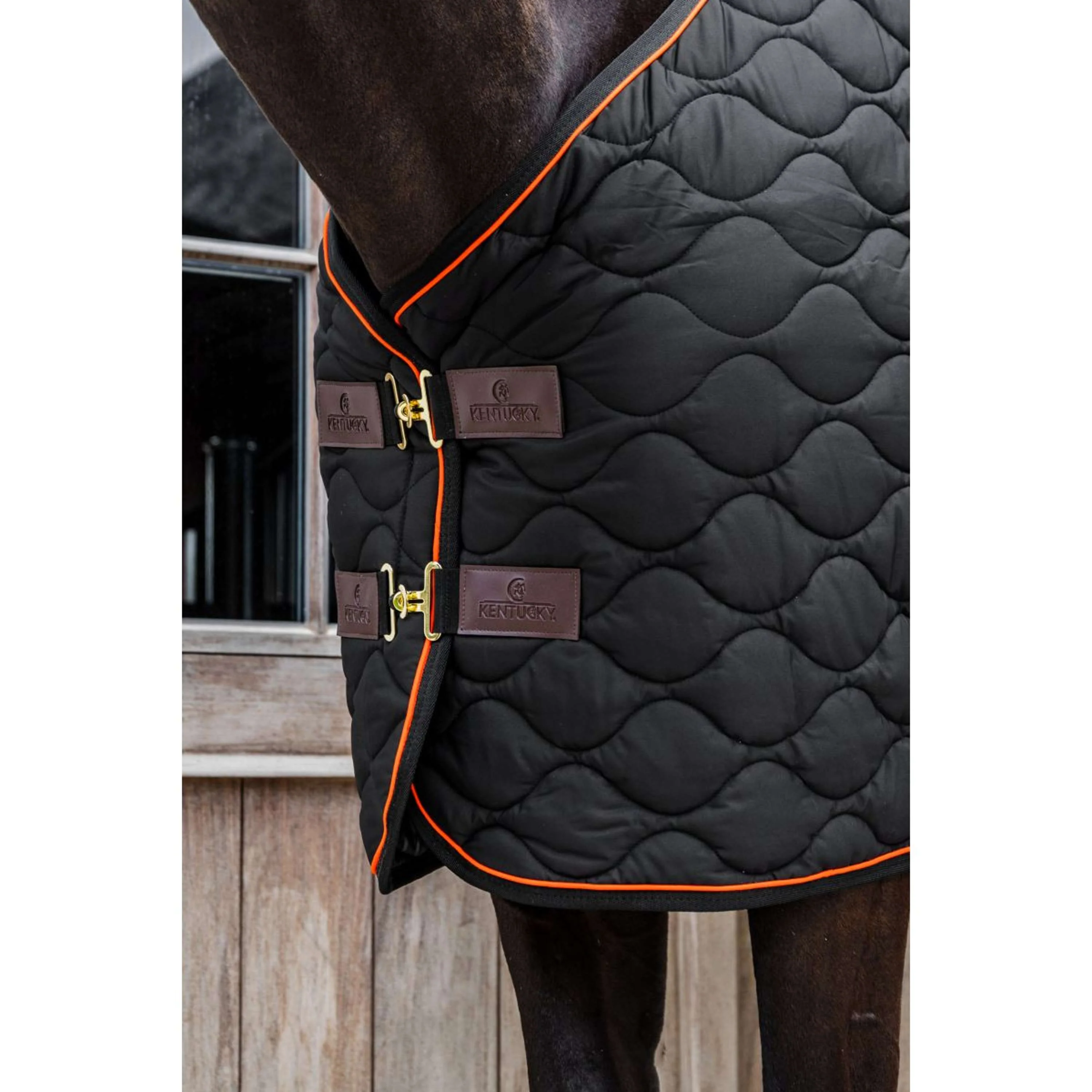 Kentucky Stalldecke Wave Schwarz - Image 9
