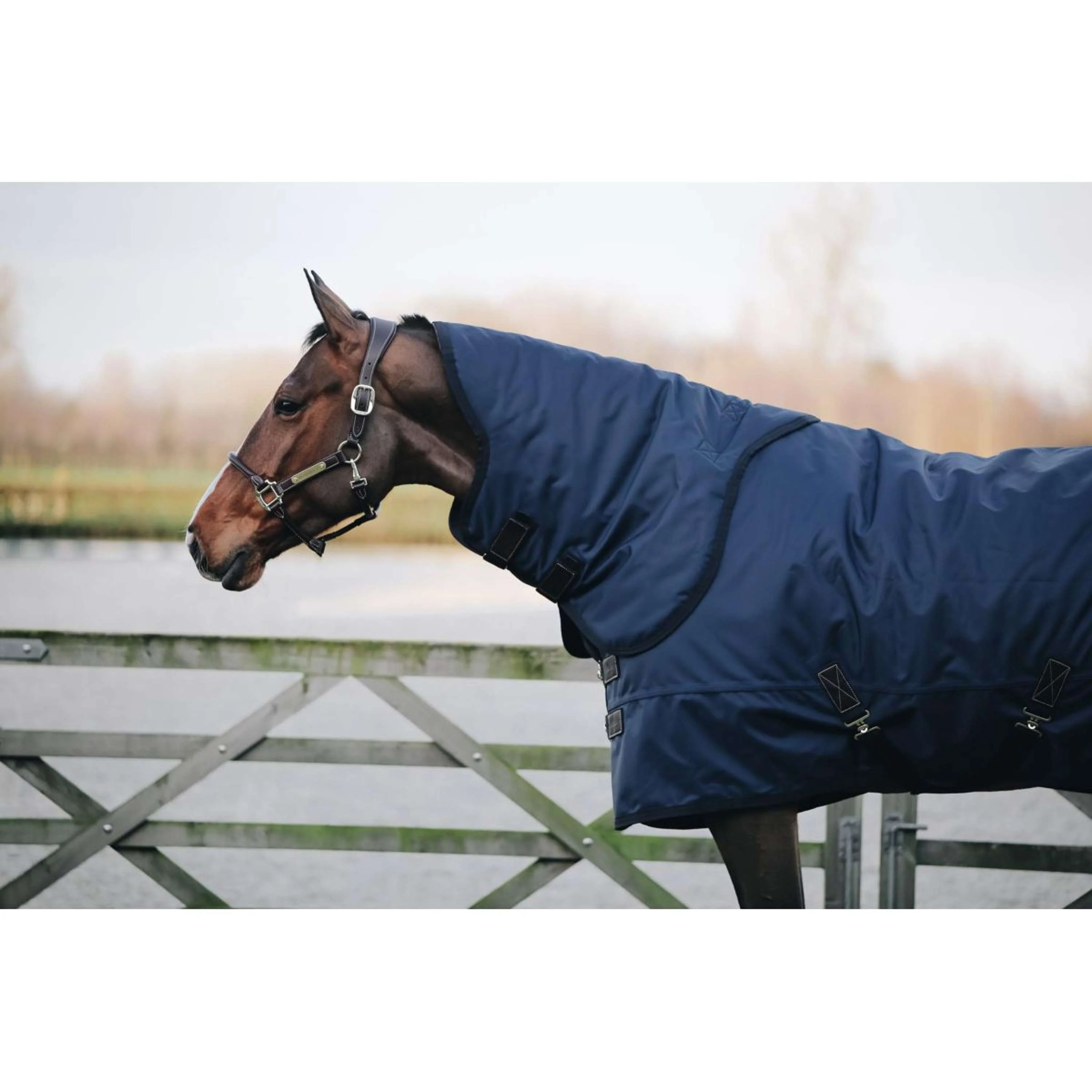 Kentucky Turnout Rug All Weather 300g Navy - Image 8