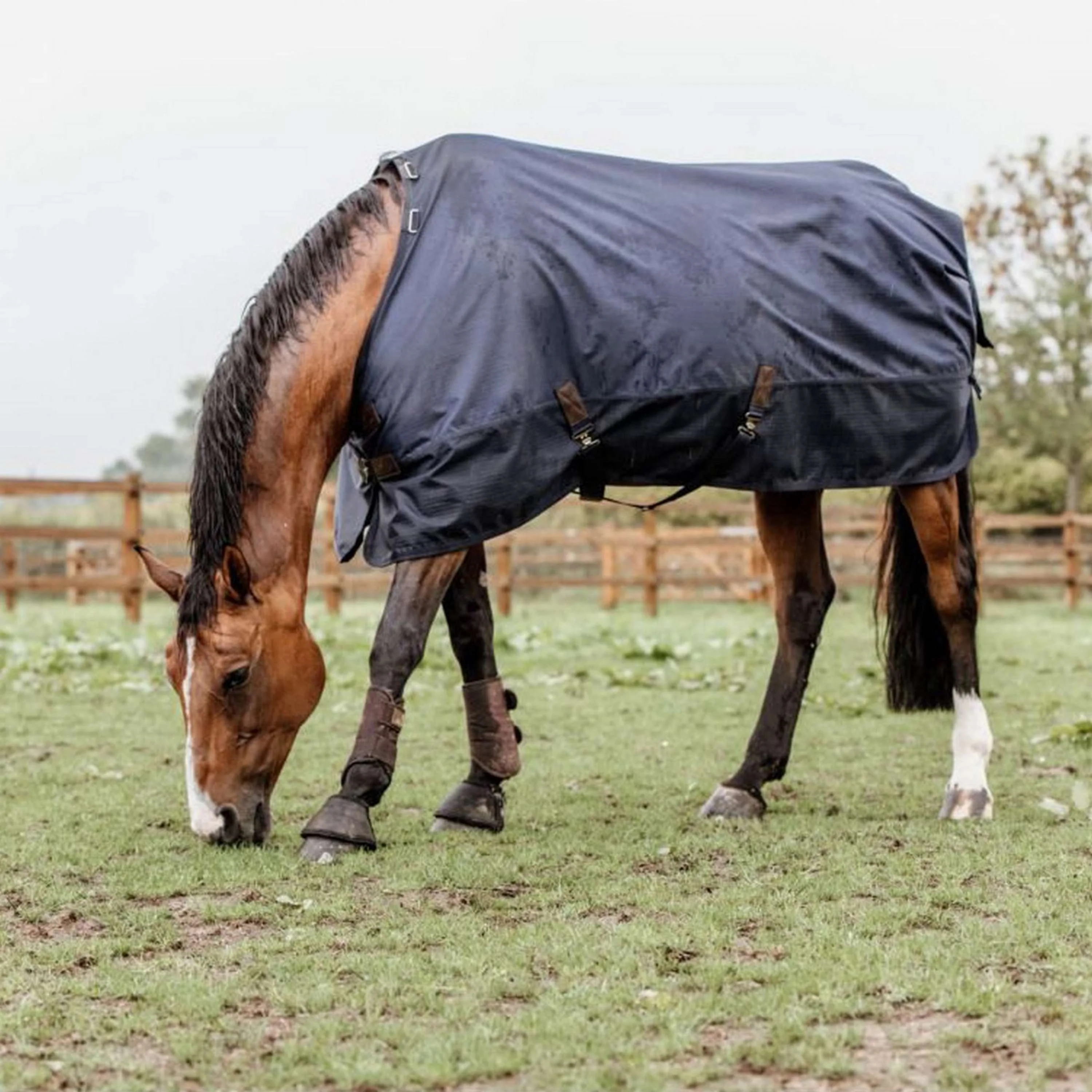 Kentucky Turnout Rug All Weather 300g Navy - Image 9